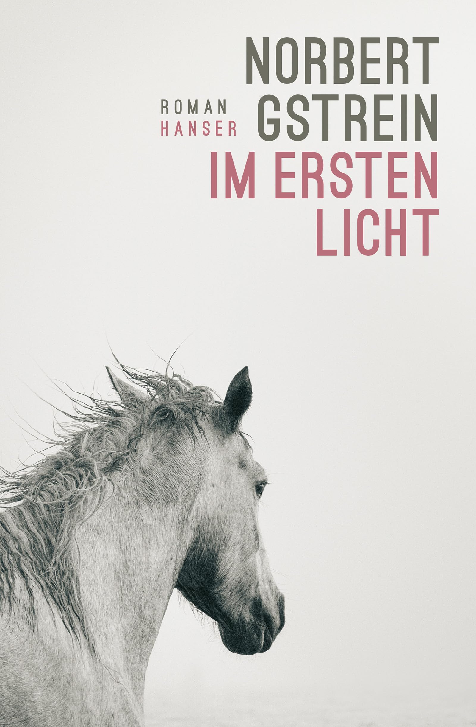 Im ersten Licht Contemporary literature