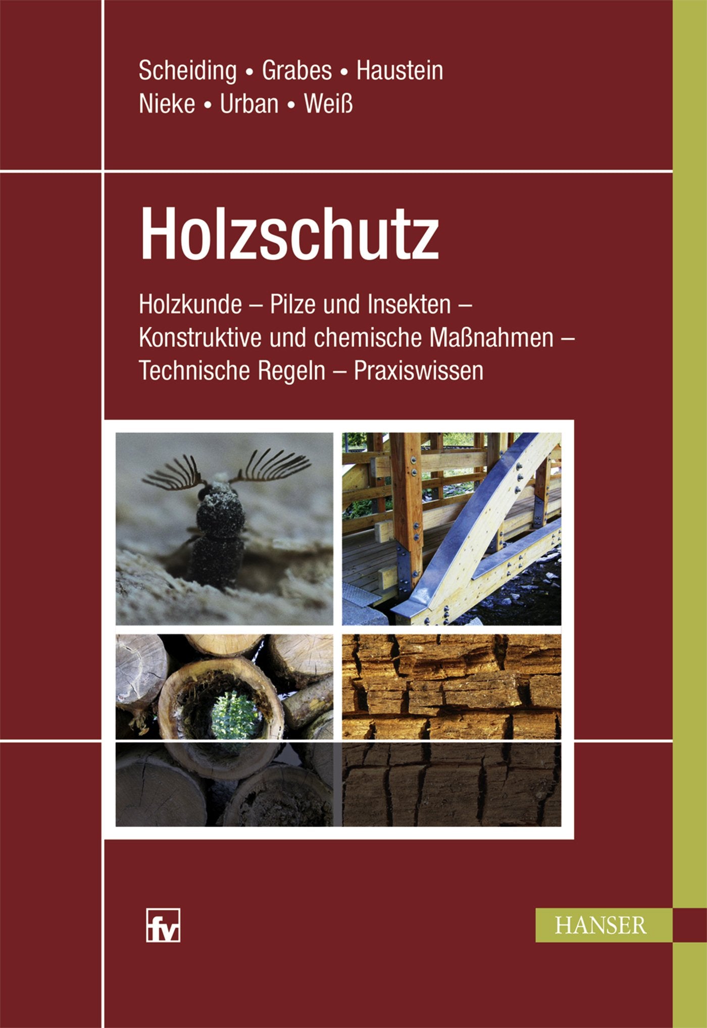Holzschutz: Holzkunde - Pilze und Insekten - Konstruktive und chemische Maßnahmen - Technische Regeln - Praxiswissen Business & Technology