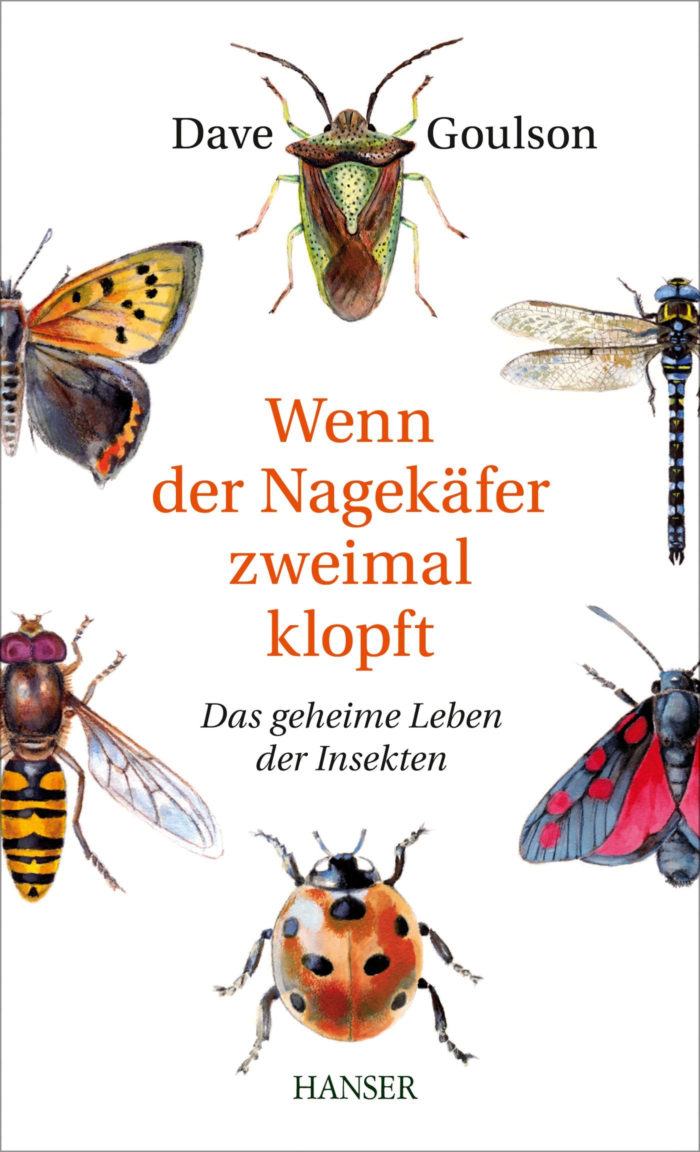 Wenn der Nagekäfer zweimal klopft Computer Science