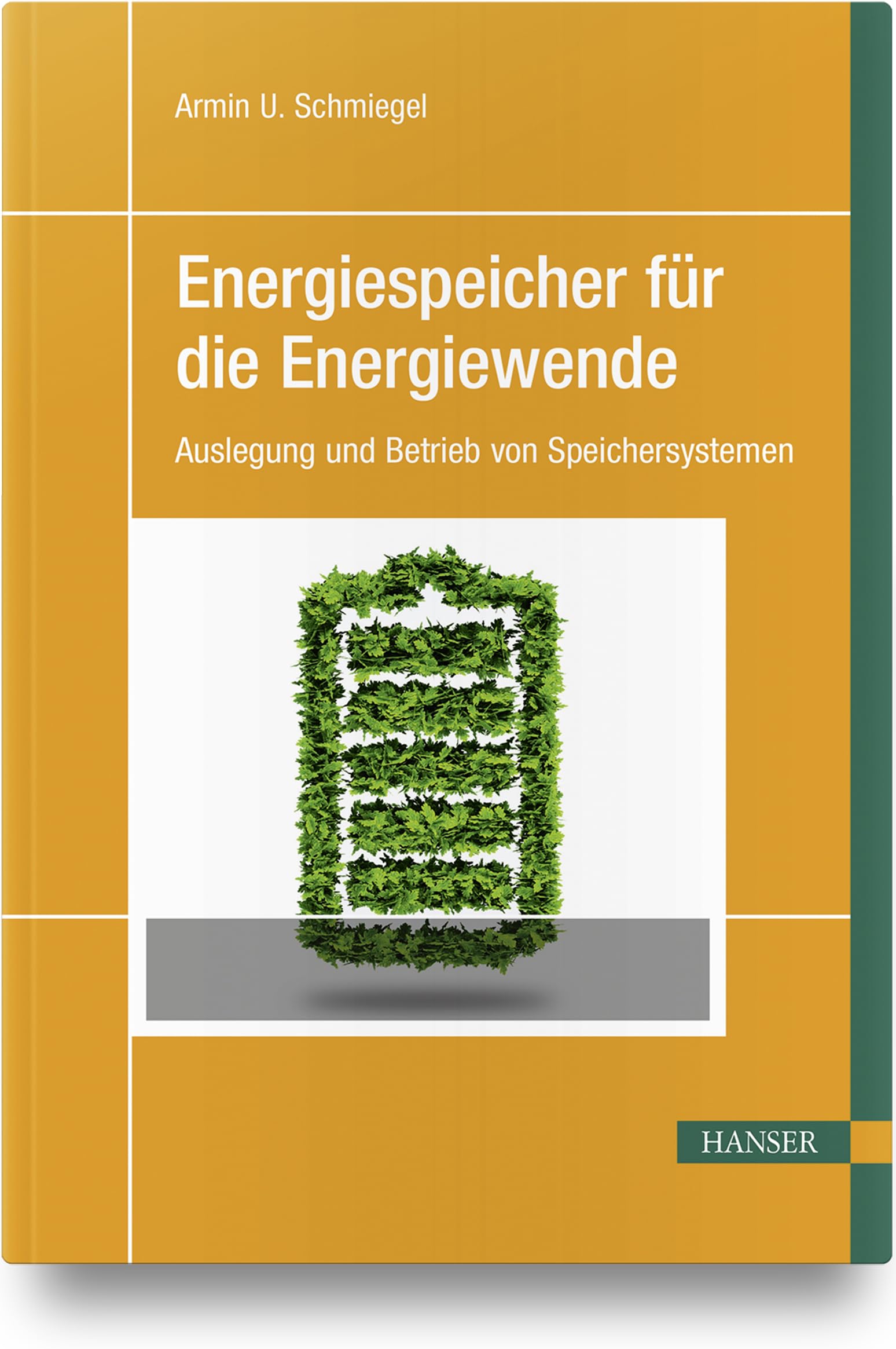 Energiespeicher für die Energiewende Business & Technology