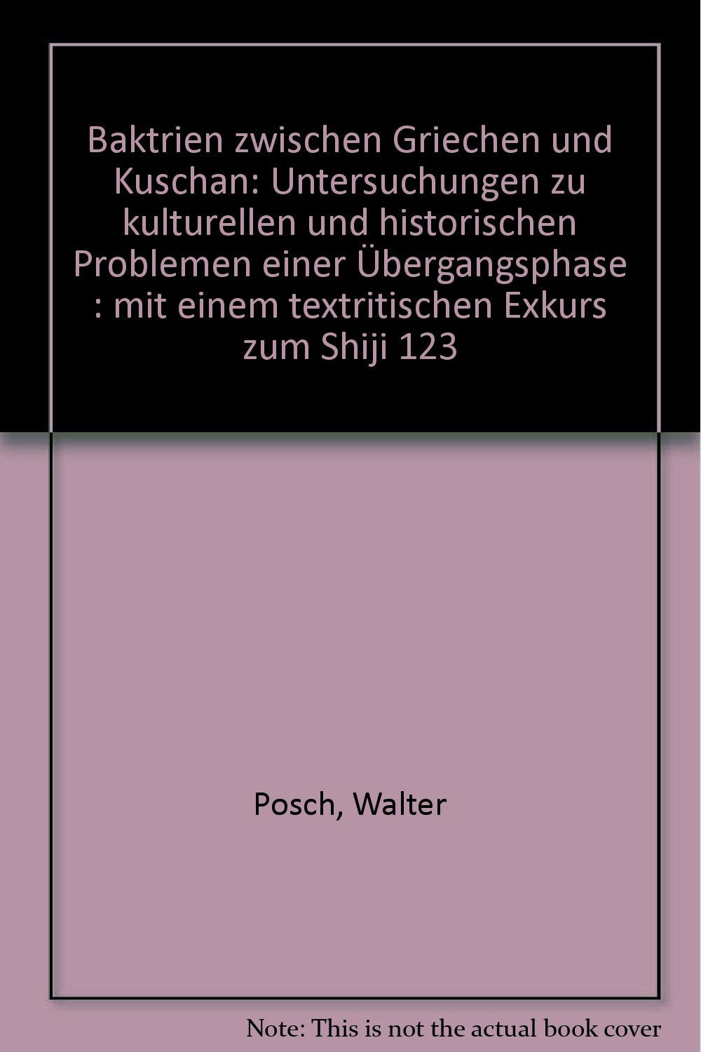 Baktrien zwischen Griechen und Kushan: Untersuchungen zu kulturellen und historischen Problemen einer Übergangsphase. Mit einem textkritischen Exkurs zum Shiji 123 Politics & History