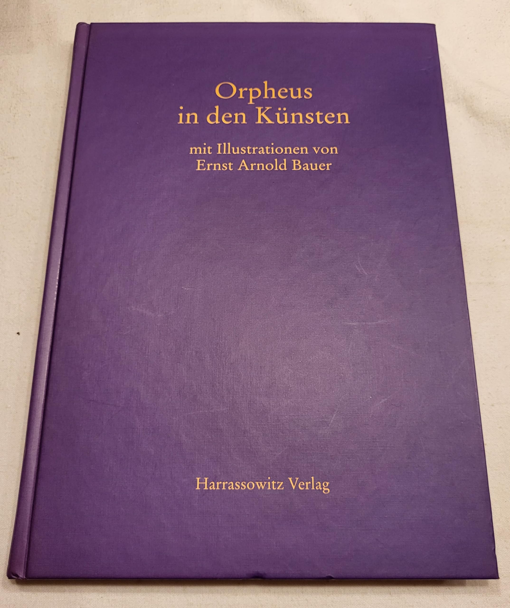 Orpheus in den Künsten (Schriften der Universitätsbibliothek Eichstätt, Band 55) Film, Art & Culture