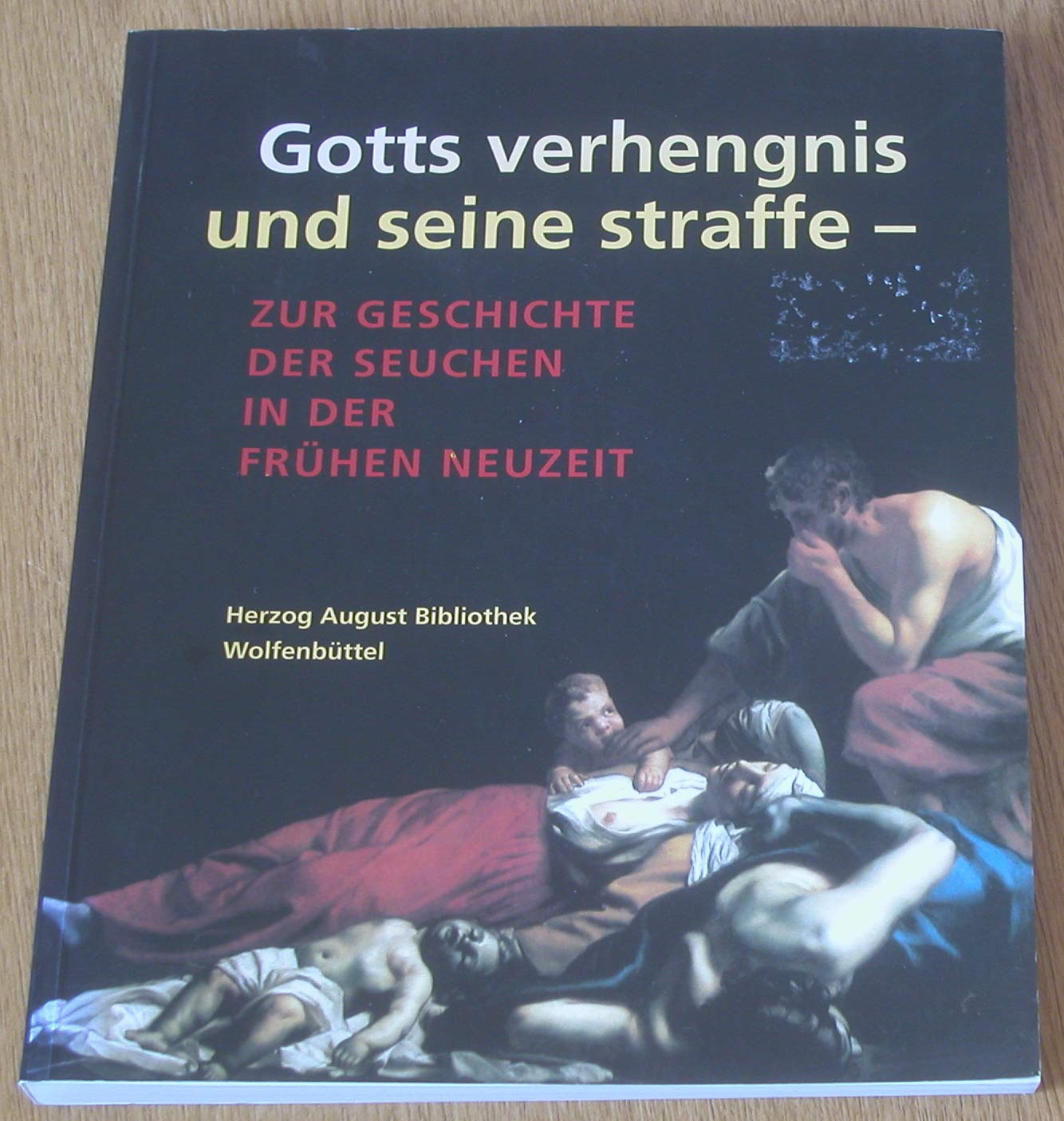 Gotts verhengnis und seine straffe - Zur Geschichte der Seuchen in der Frühen Neuzeit Politics & History