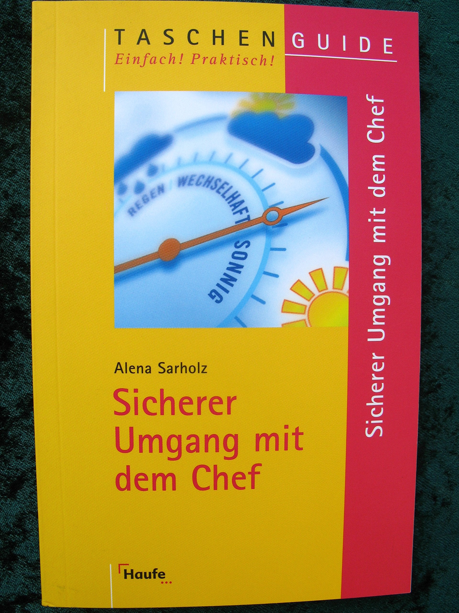 Sicherer Umgang mit dem Chef (Haufe TaschenGuide) Business, Finance & Career