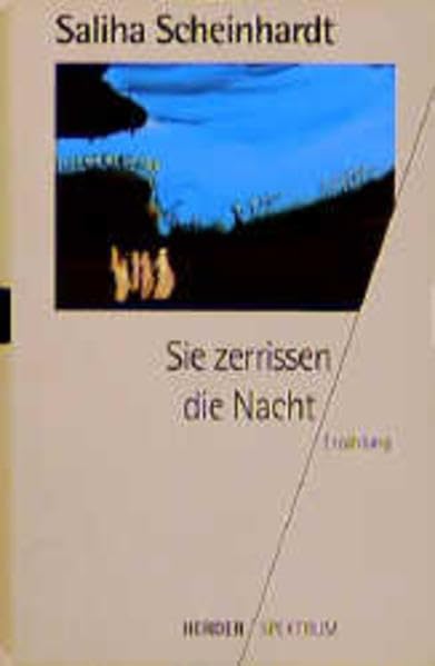 Sie zerrissen die Nacht: Erzählung (Herder Spektrum) Books