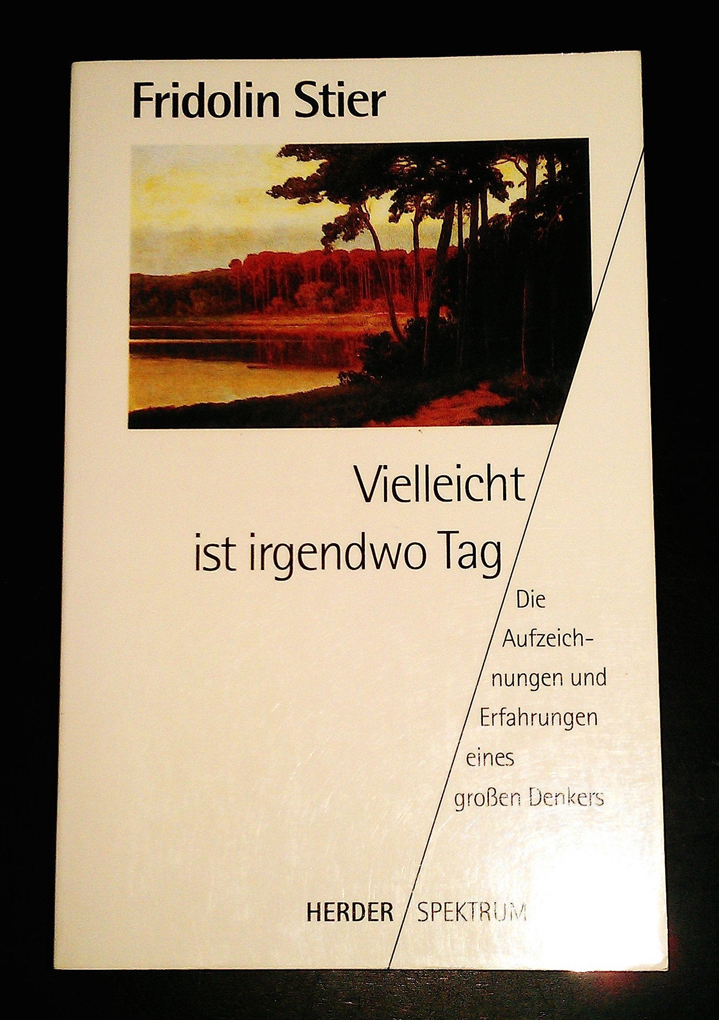 Product Image: Vielleicht ist irgendwo Tag