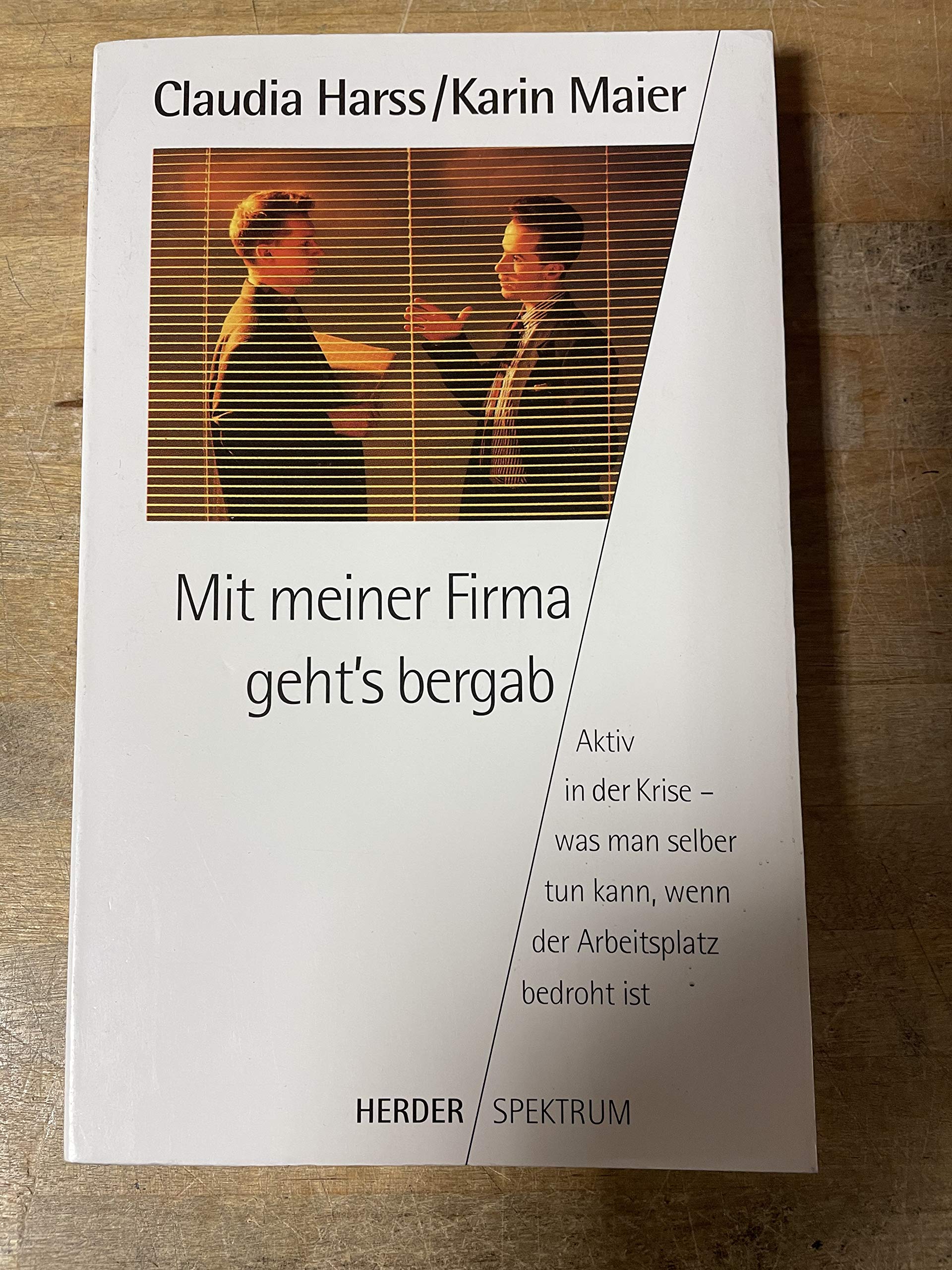 Mit meiner Firma geht's bergab General education
