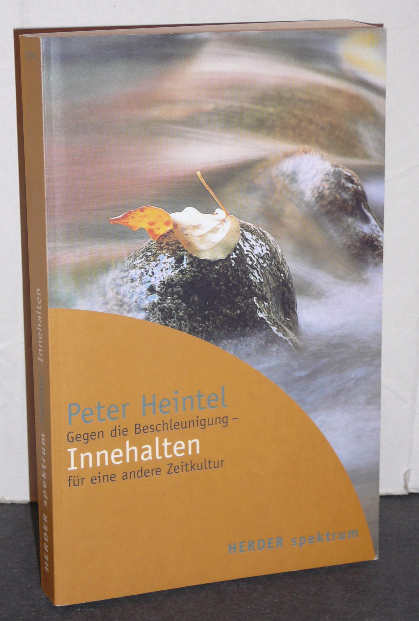 Innehalten: Gegen die Beschleunigung - für eine andere Zeitkultur. Social Sciences