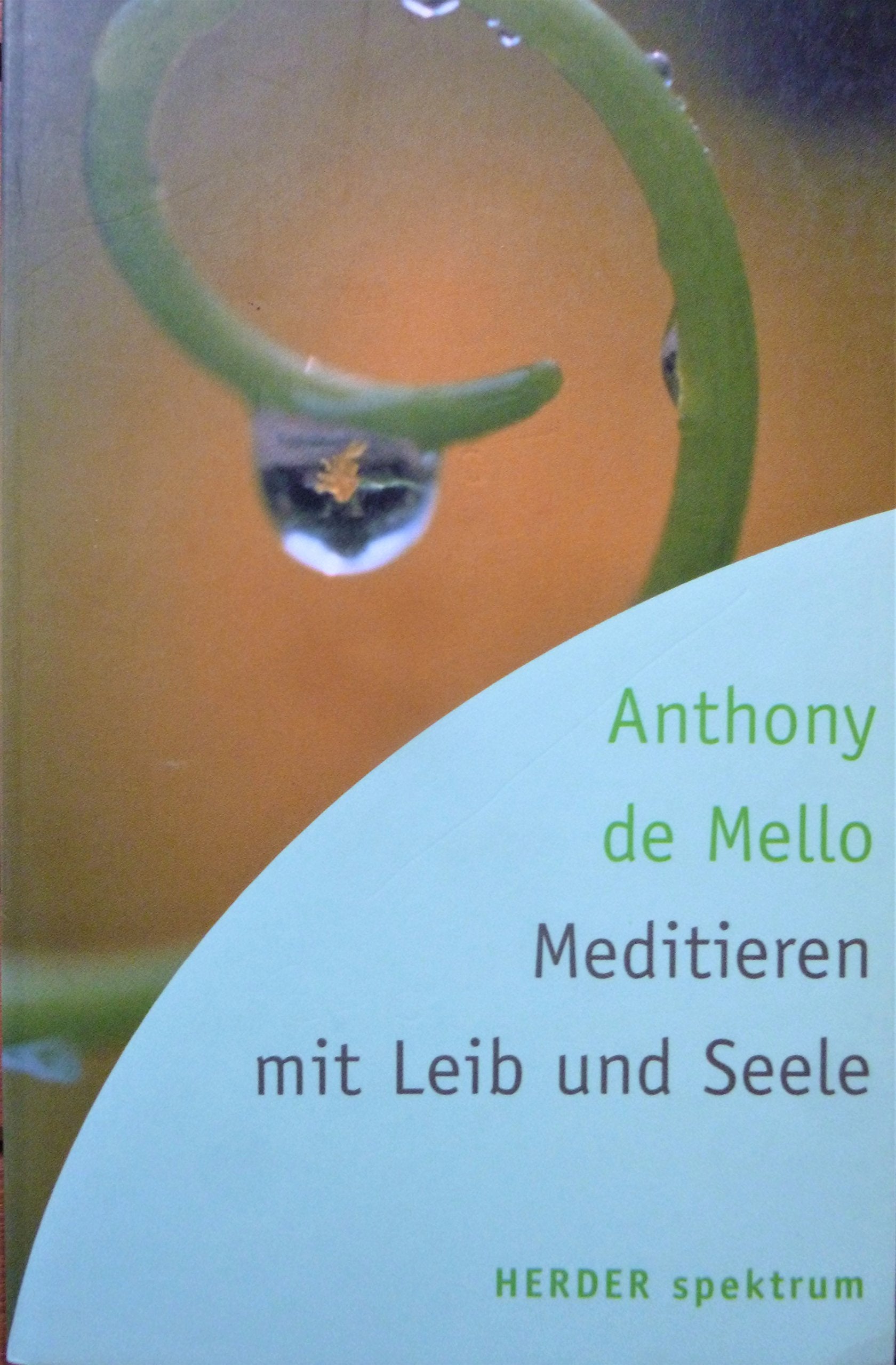 Meditieren mit Leib und Seele (HERDER spektrum) Lifestyle