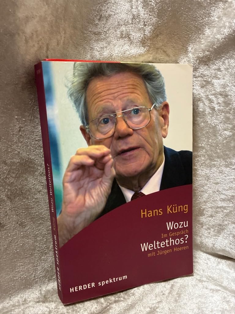 Wozu Weltethos?: Religion und Ethik in Zeiten der Globalisierung. Im Gespräch mit Jürgen Hoeren (Herder Spektrum) Religion & Esotericism
