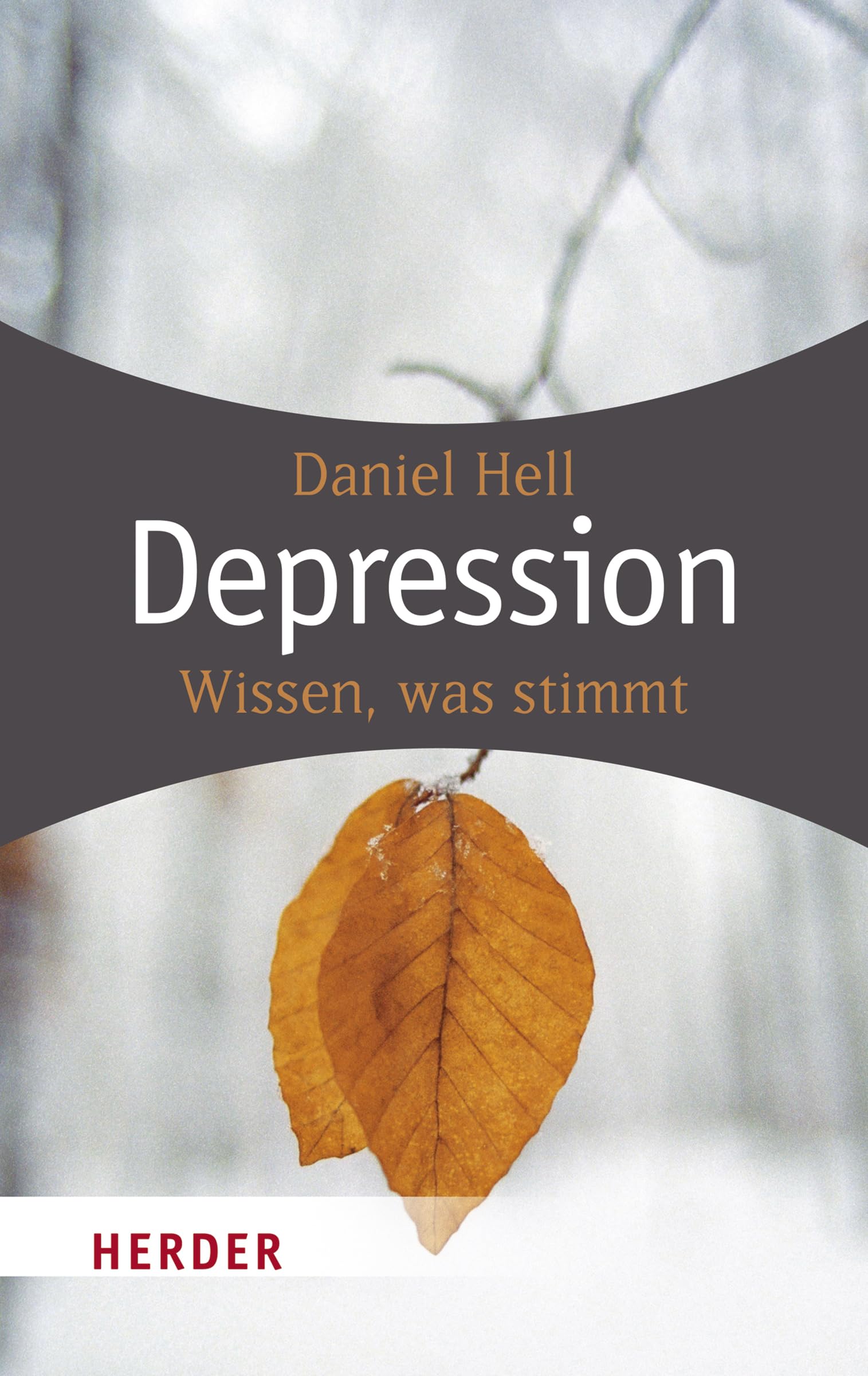 Depression: Wissen was stimmt: Was stimmt? Die wichtigsten Antworten (HERDER spektrum) Health, Nutrition & Fitness