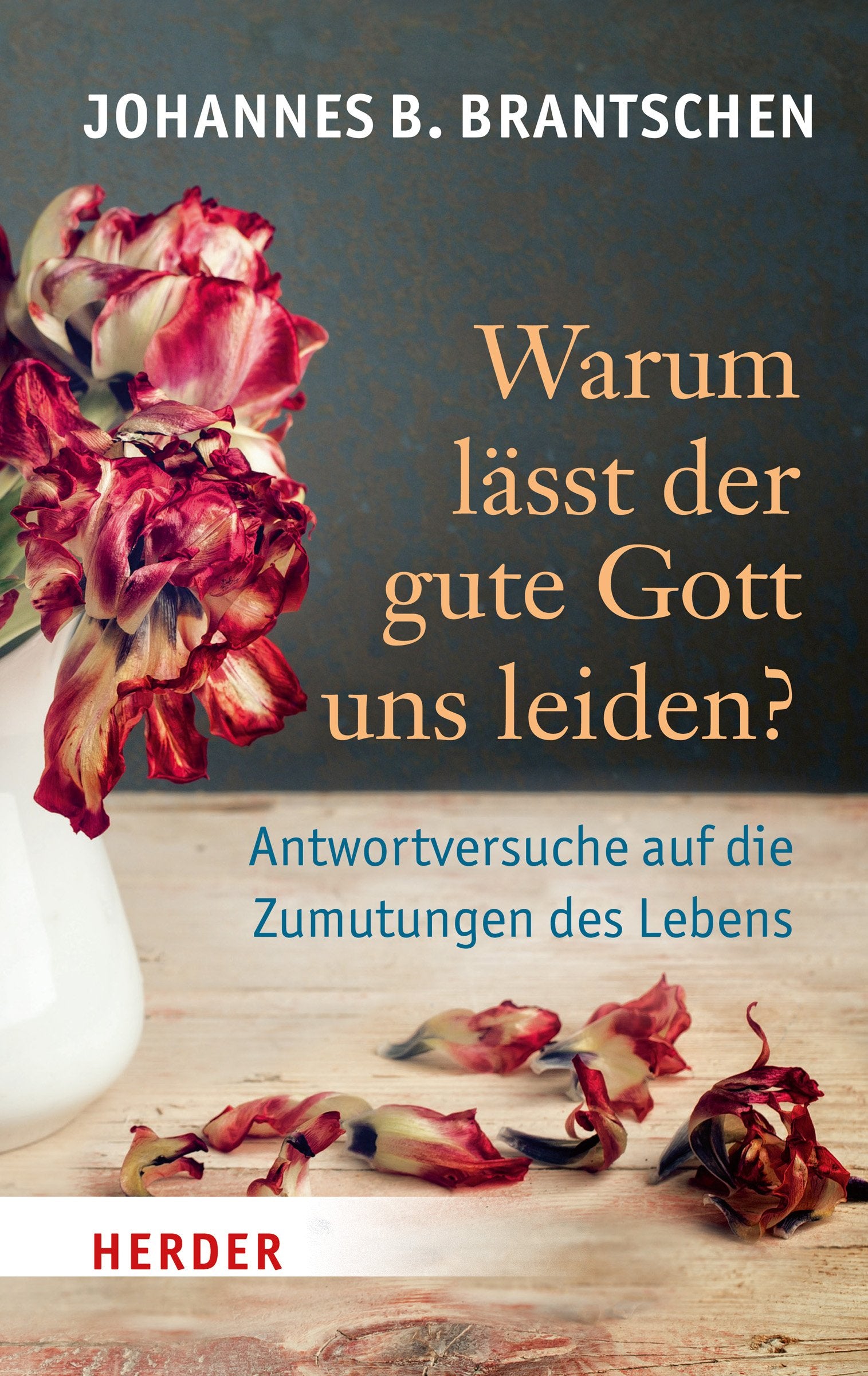 Warum lässt der gute Gott uns leiden? Politics & History