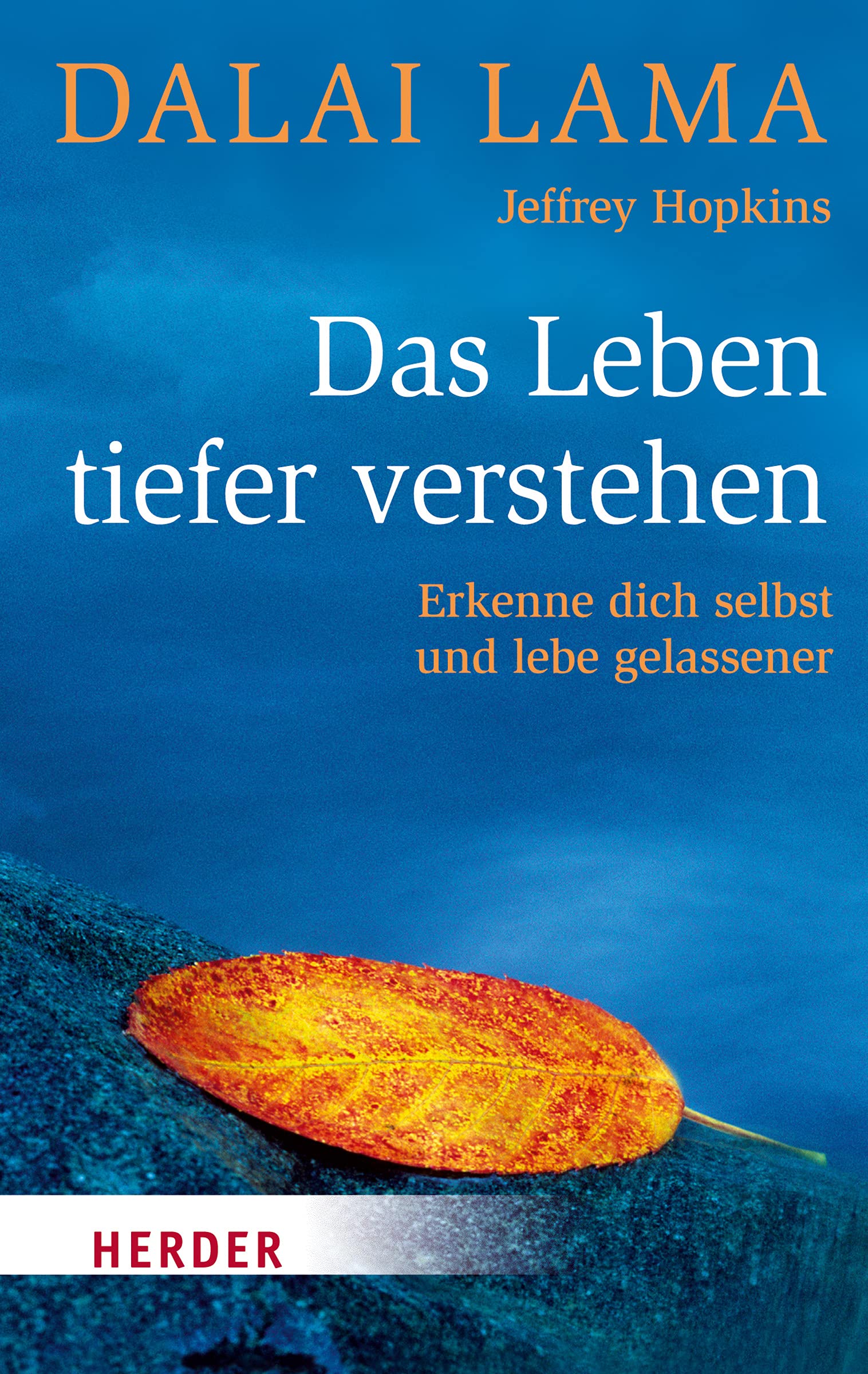 Product Image: Das Leben tiefer verstehen