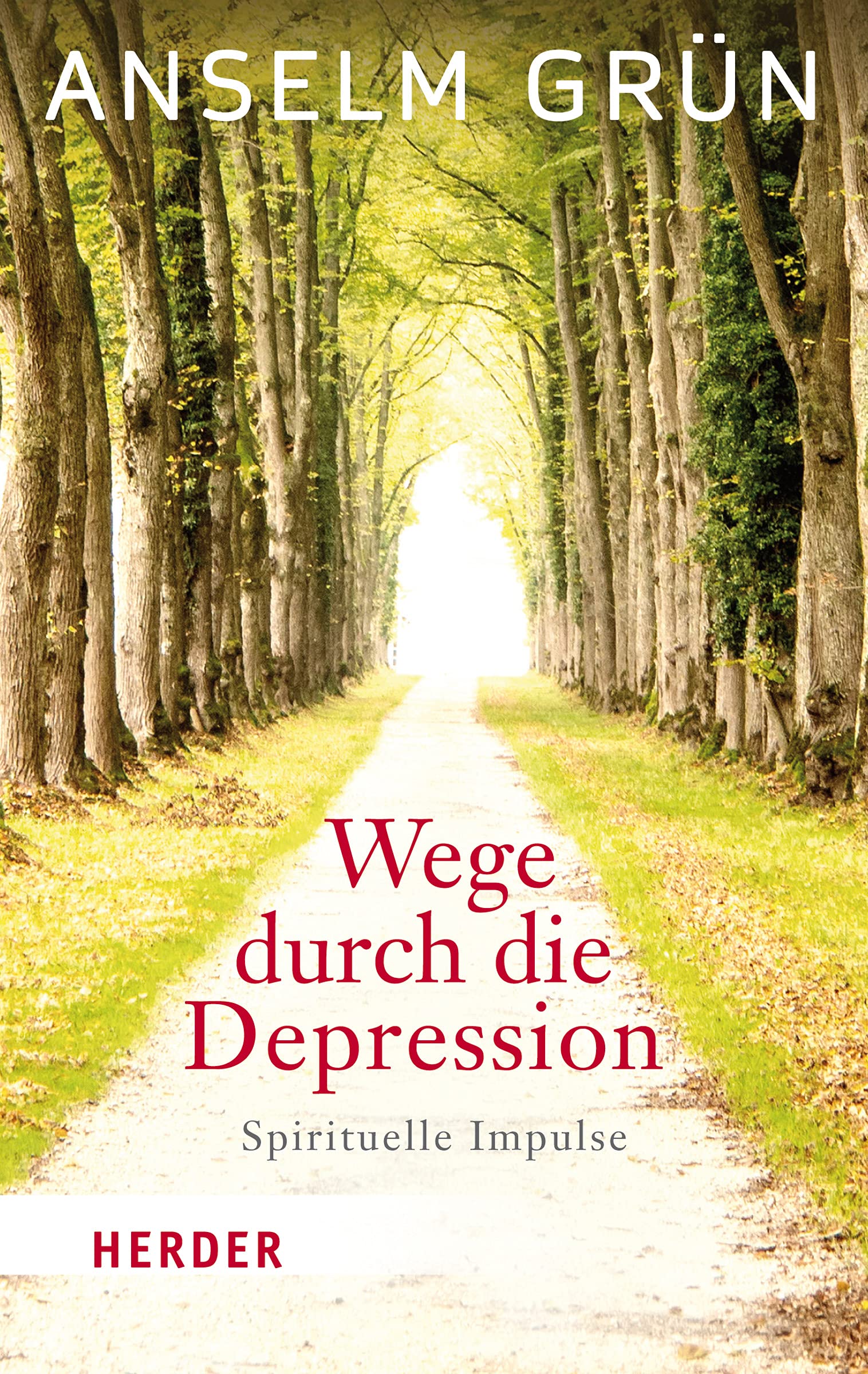 Wege durch die Depression Health, Nutrition & Fitness