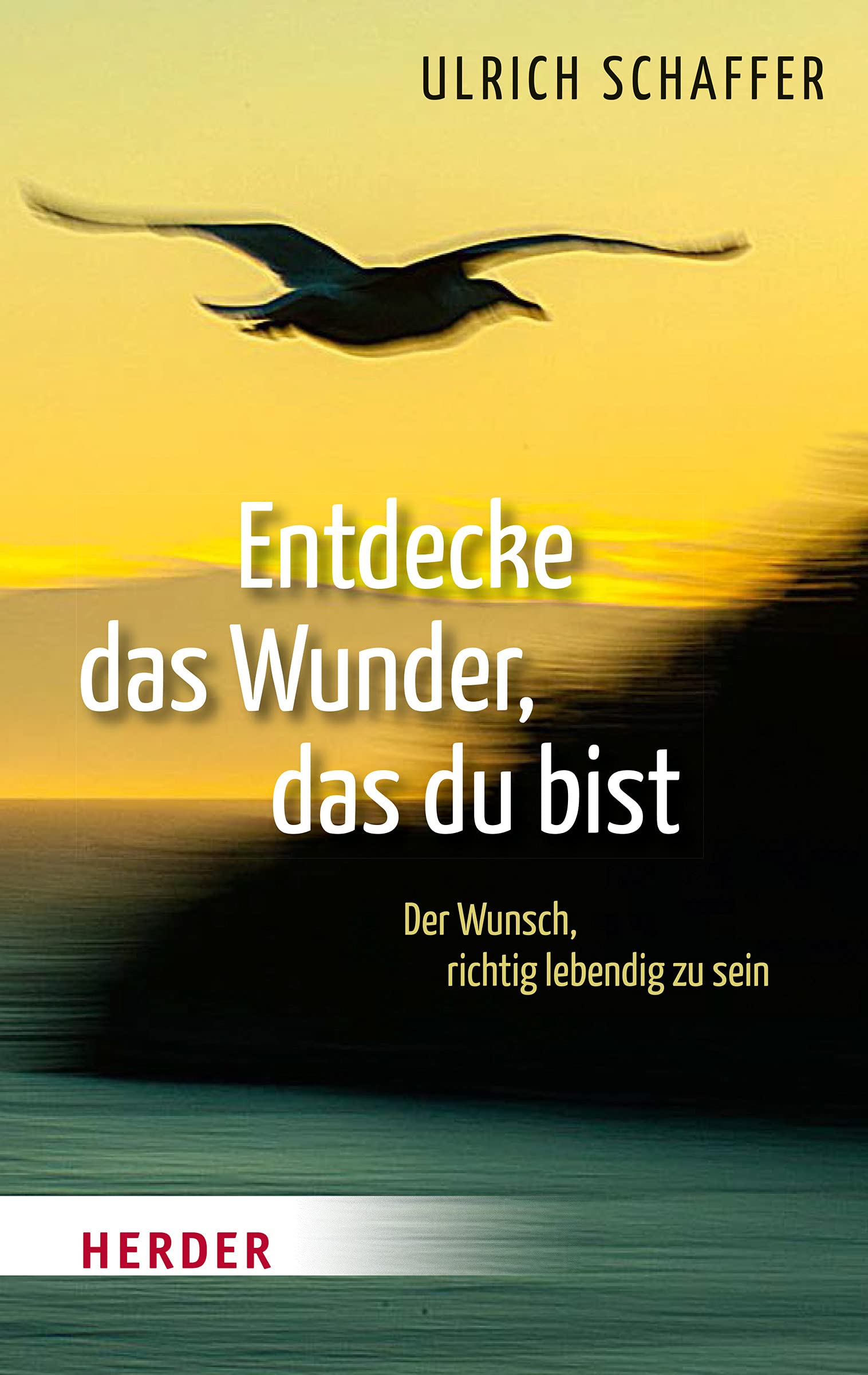 Product Image: Entdecke das Wunder, das du bist