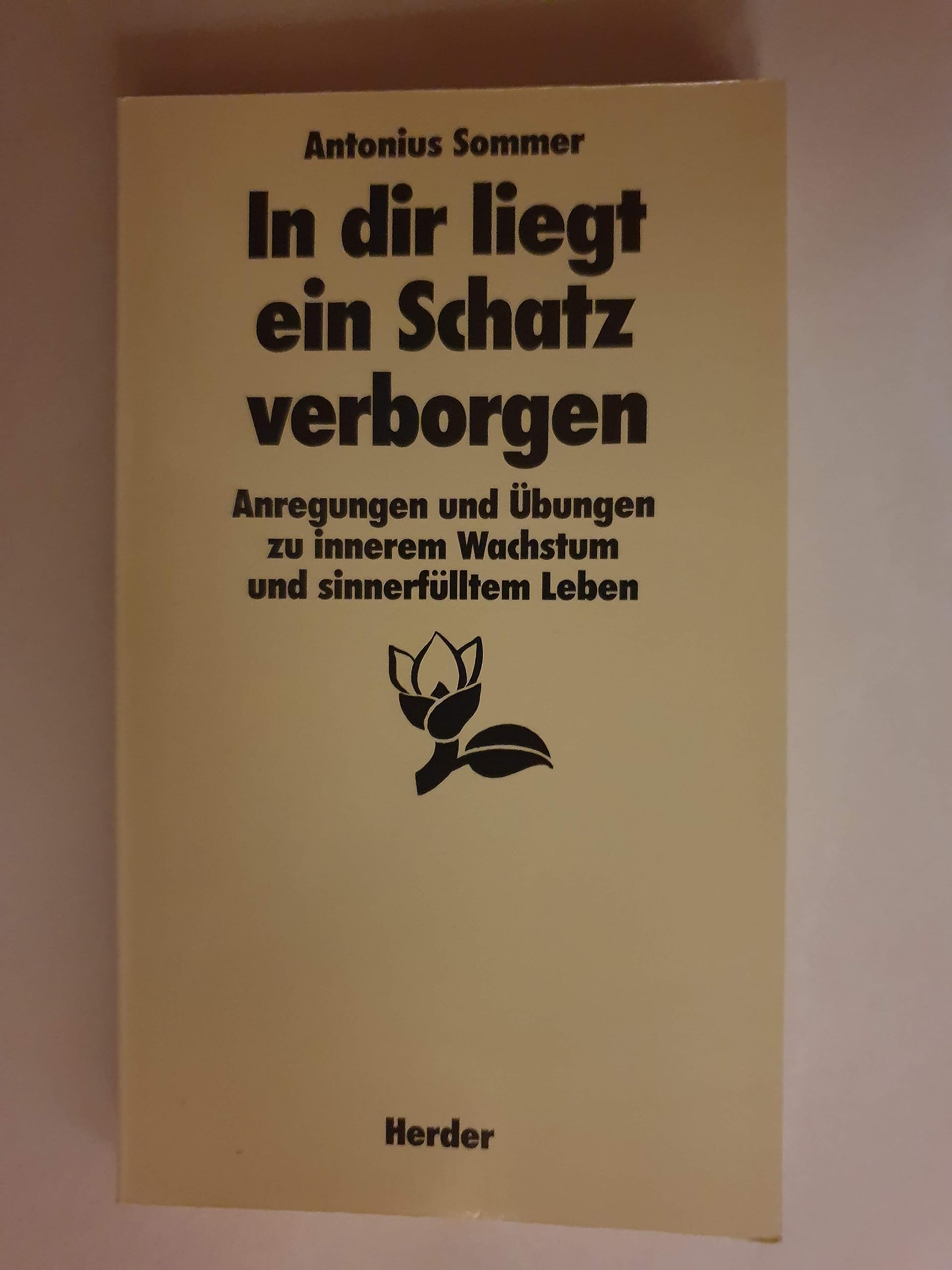 In dir liegt ein Schatz verborgen. Anregungen und Übungen zu innerem Wachstum und sinnerfülltem Leben Books