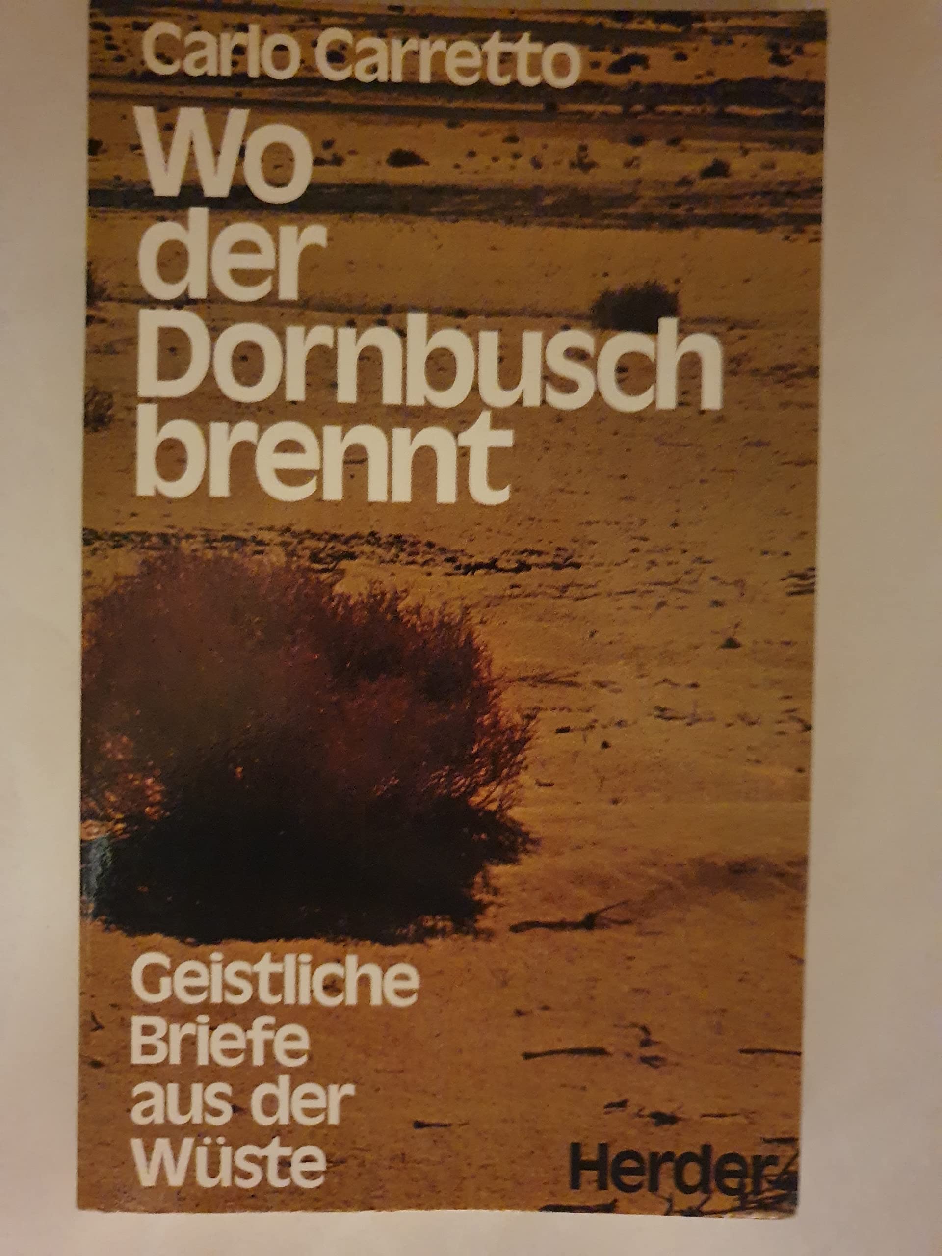 Wo der Dornbusch brennt. Geistliche Briefe aus der Wüste Essays & Short Stories