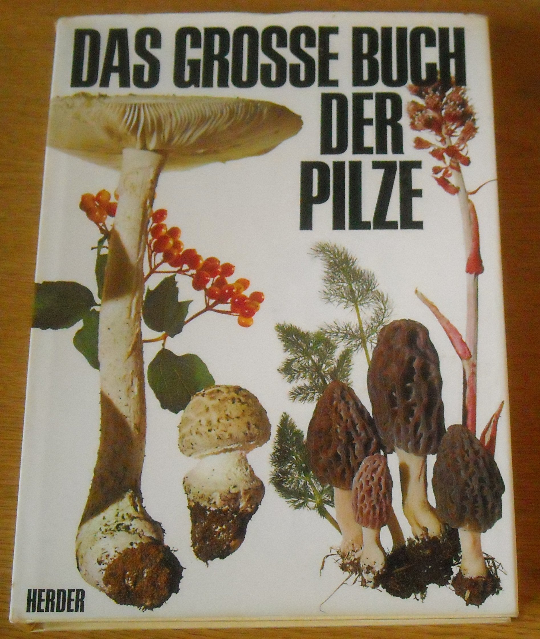 Das große Buch der Pilze Natural Sciences