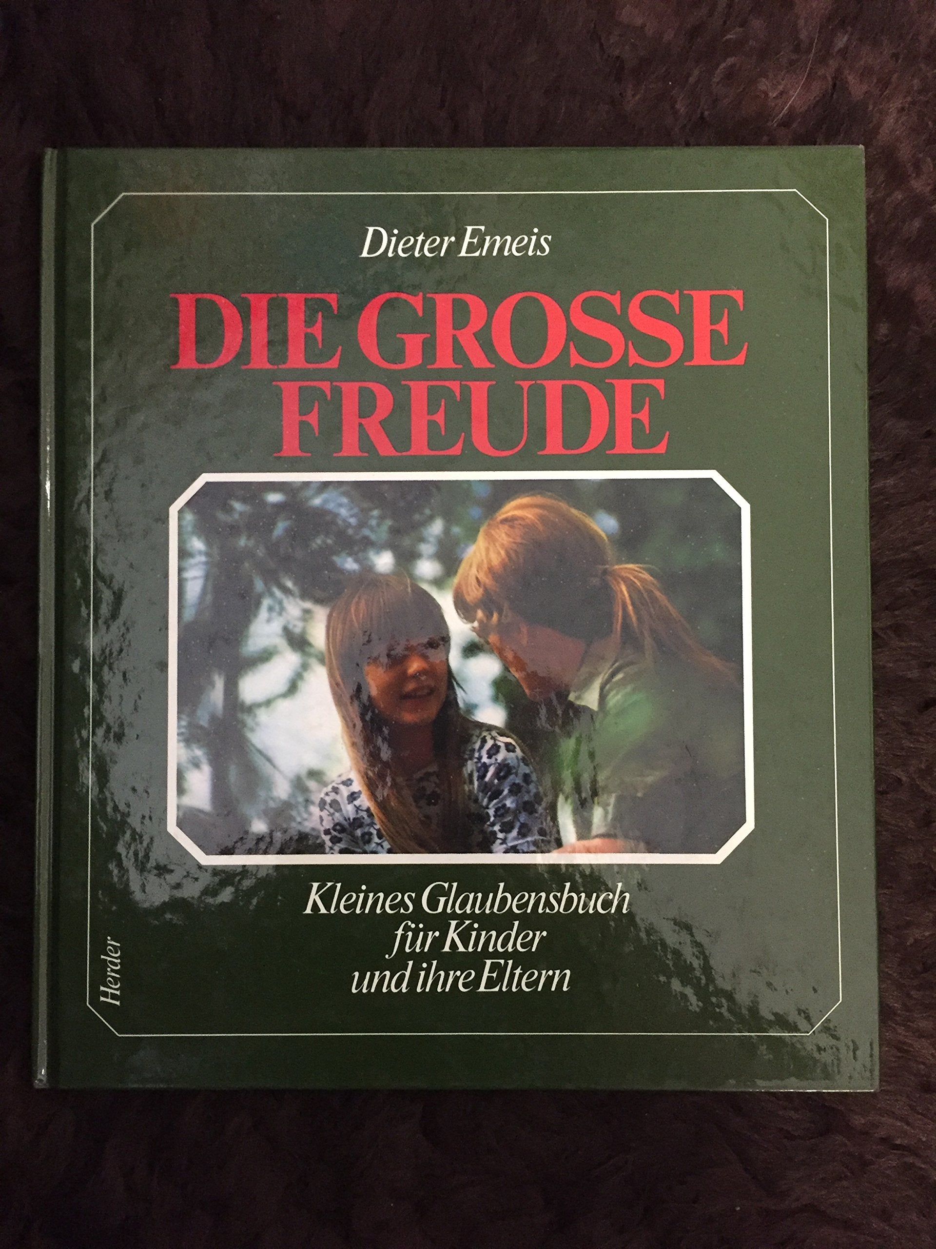Die grosse Freude: Kleines Glaubensbuch für Kinder und ihre Eltern Books