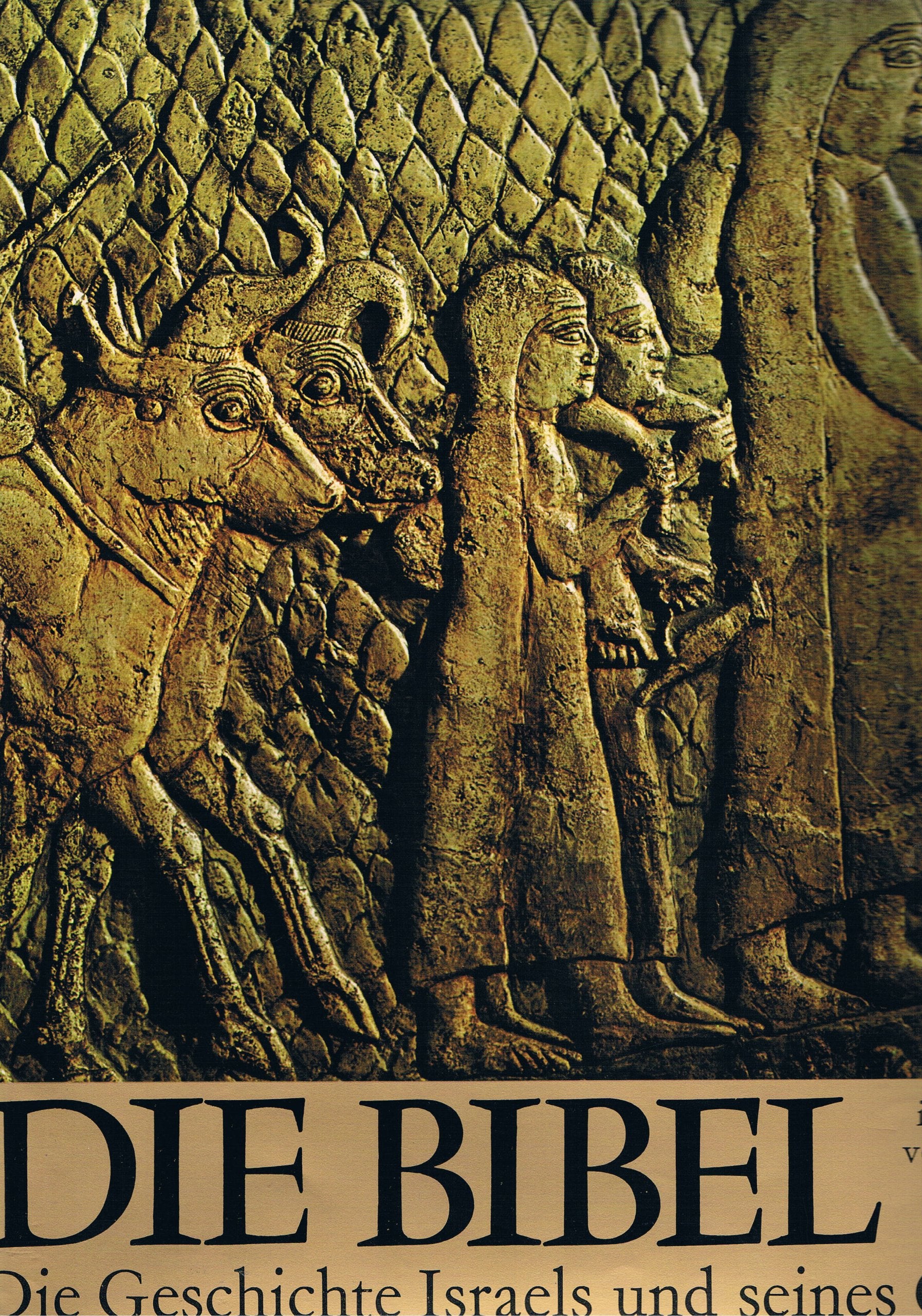 Die Bibel. Die Geschichte Israels und seines Glaubens Books