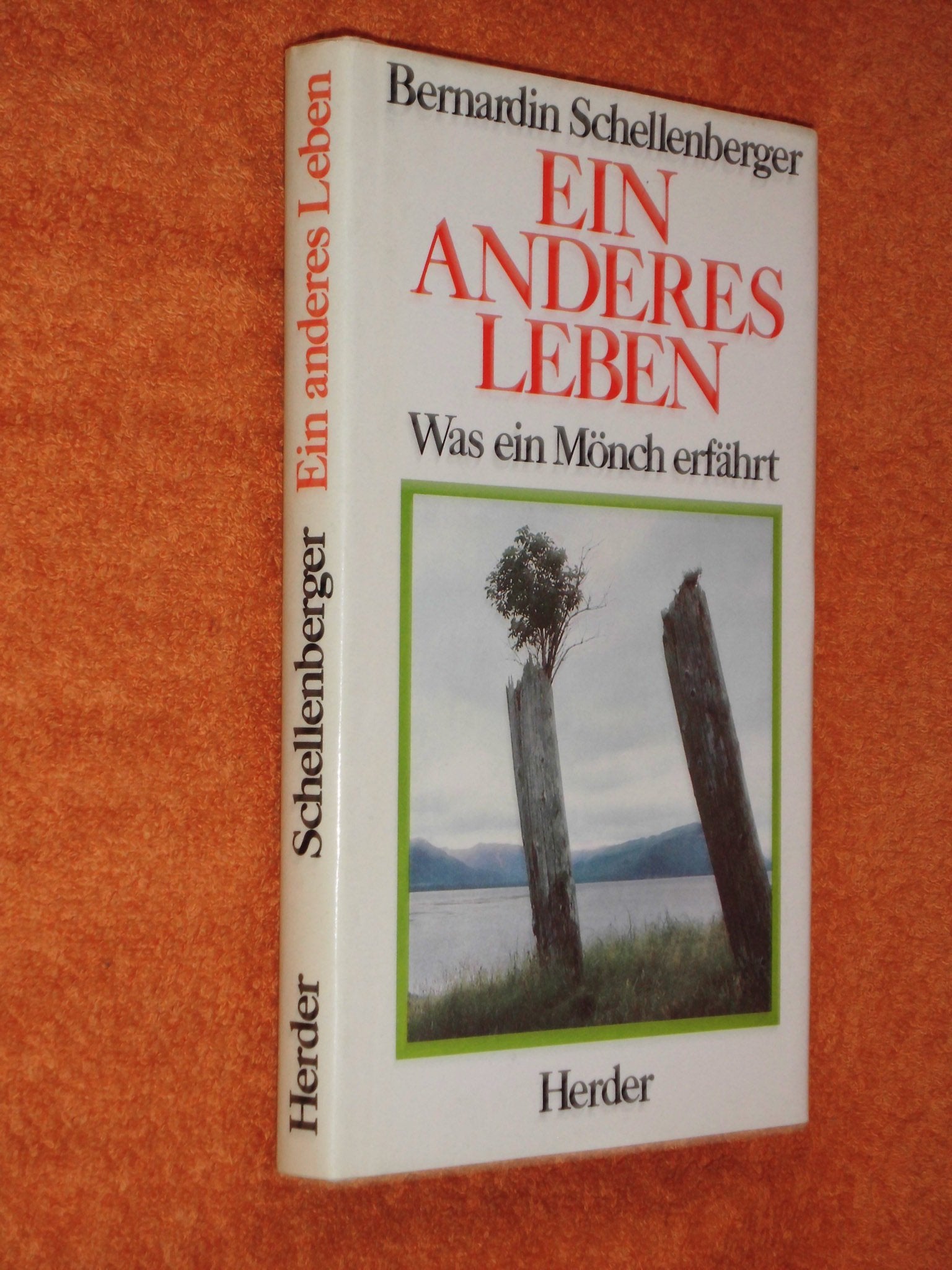 Ein anderes Leben. Was ein Mönch erfährt Religion & Esotericism