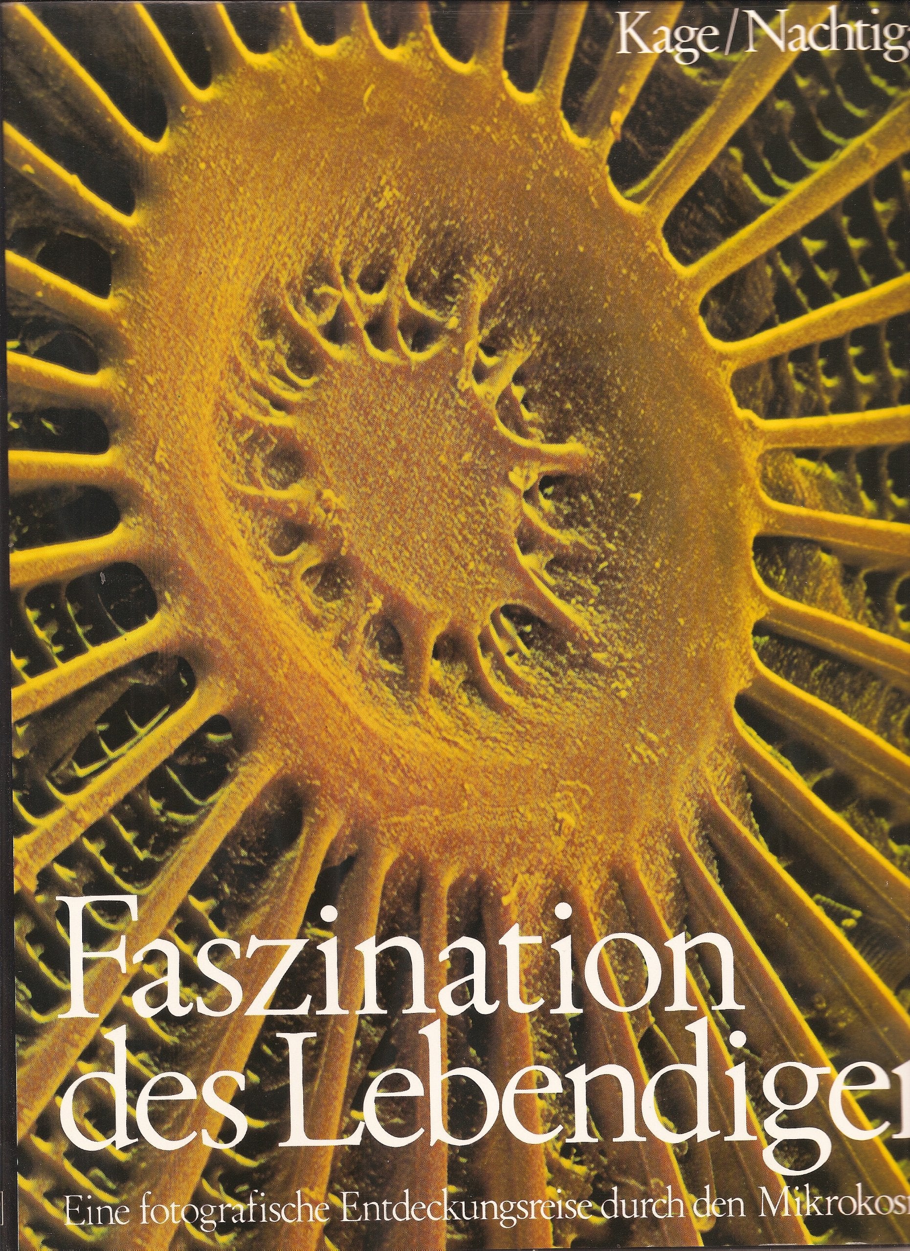 Faszination des Lebendigen. 25 biologische Essays Medicine