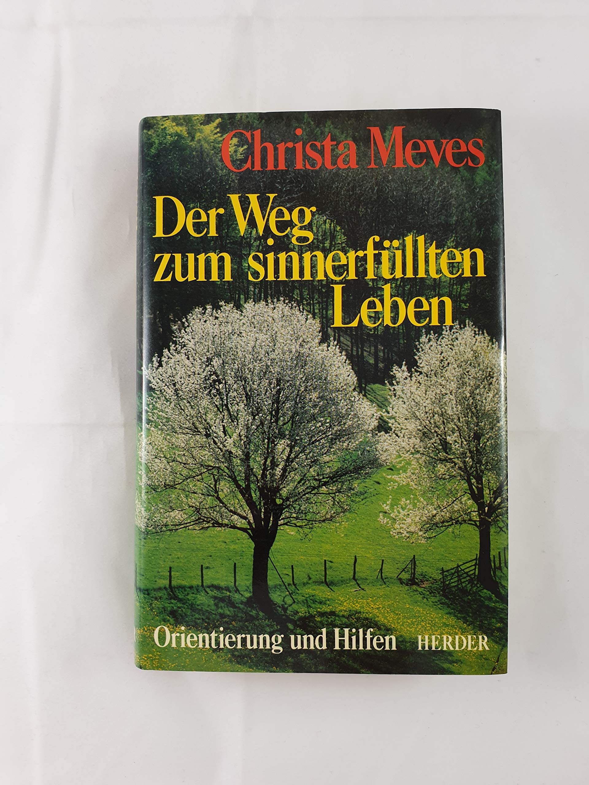 Der Weg zum sinnerfüllten Leben. Orientierung und Hilfen Psychology