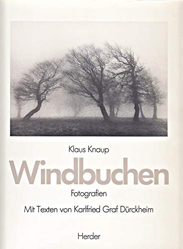 Product Image: Windbuchen. Fotografien