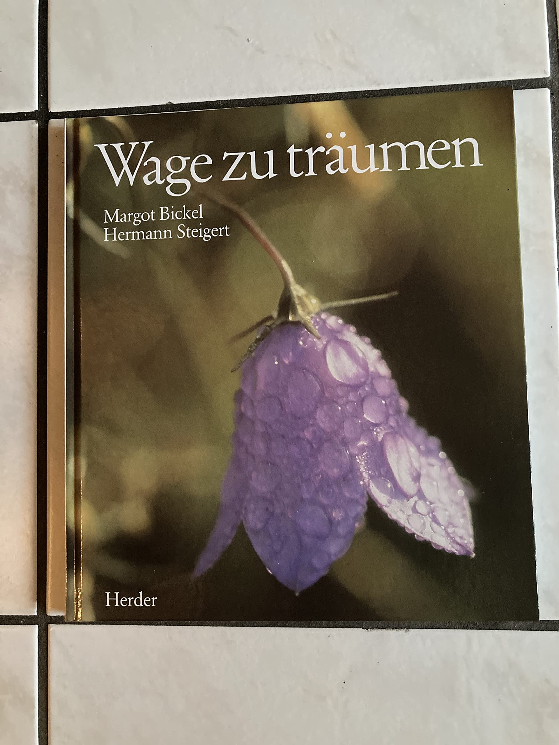 Wage zu träumen Living & Furnishing Books