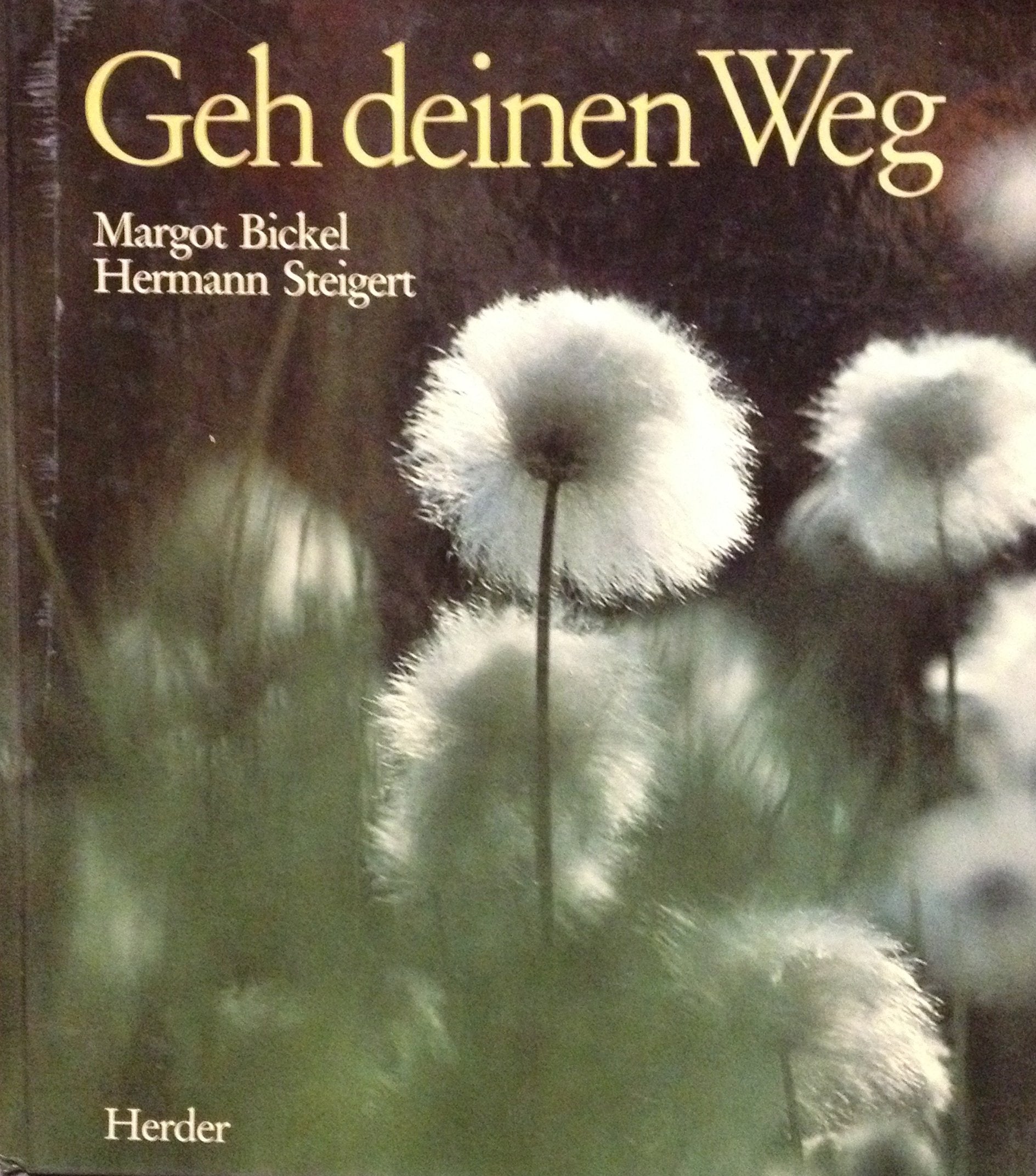 Geh deinen Weg Lifestyle Books