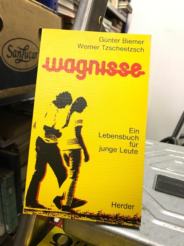 Wagnisse. Ein Lebensbuch für junge Leute Religion & Esotericism