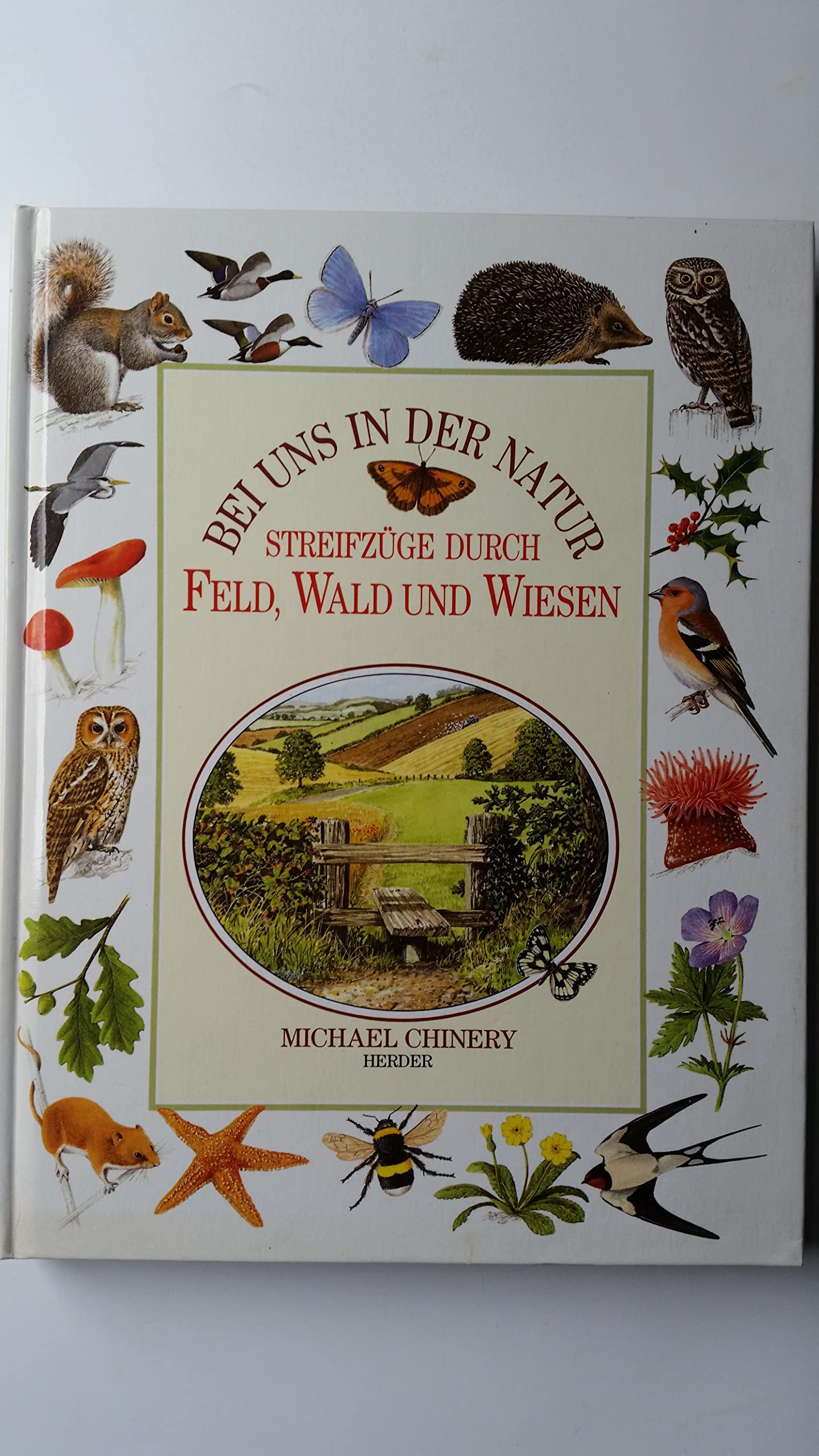 Product Image: Bei uns in der Natur