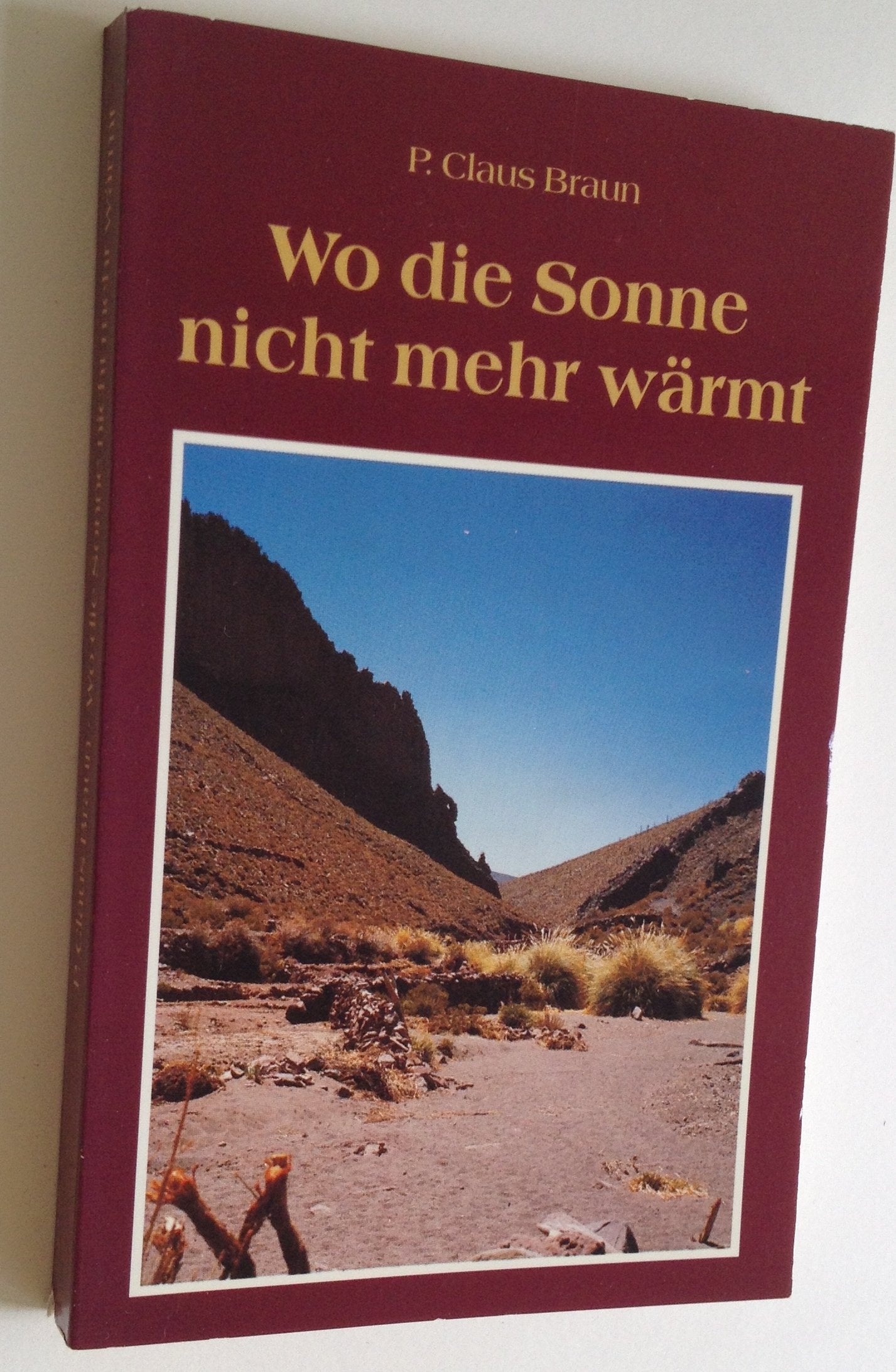 Was keiner wagt, das sollt ihr wagen - August, Heribert book