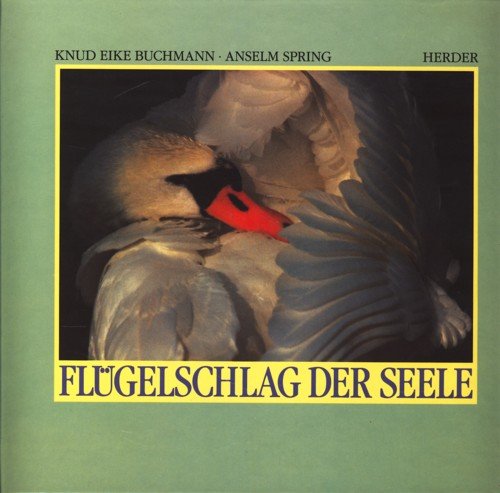 Flügelschlag der Seele. Sehnsucht nach Liebe und Geborgenheit Film, Art & Culture