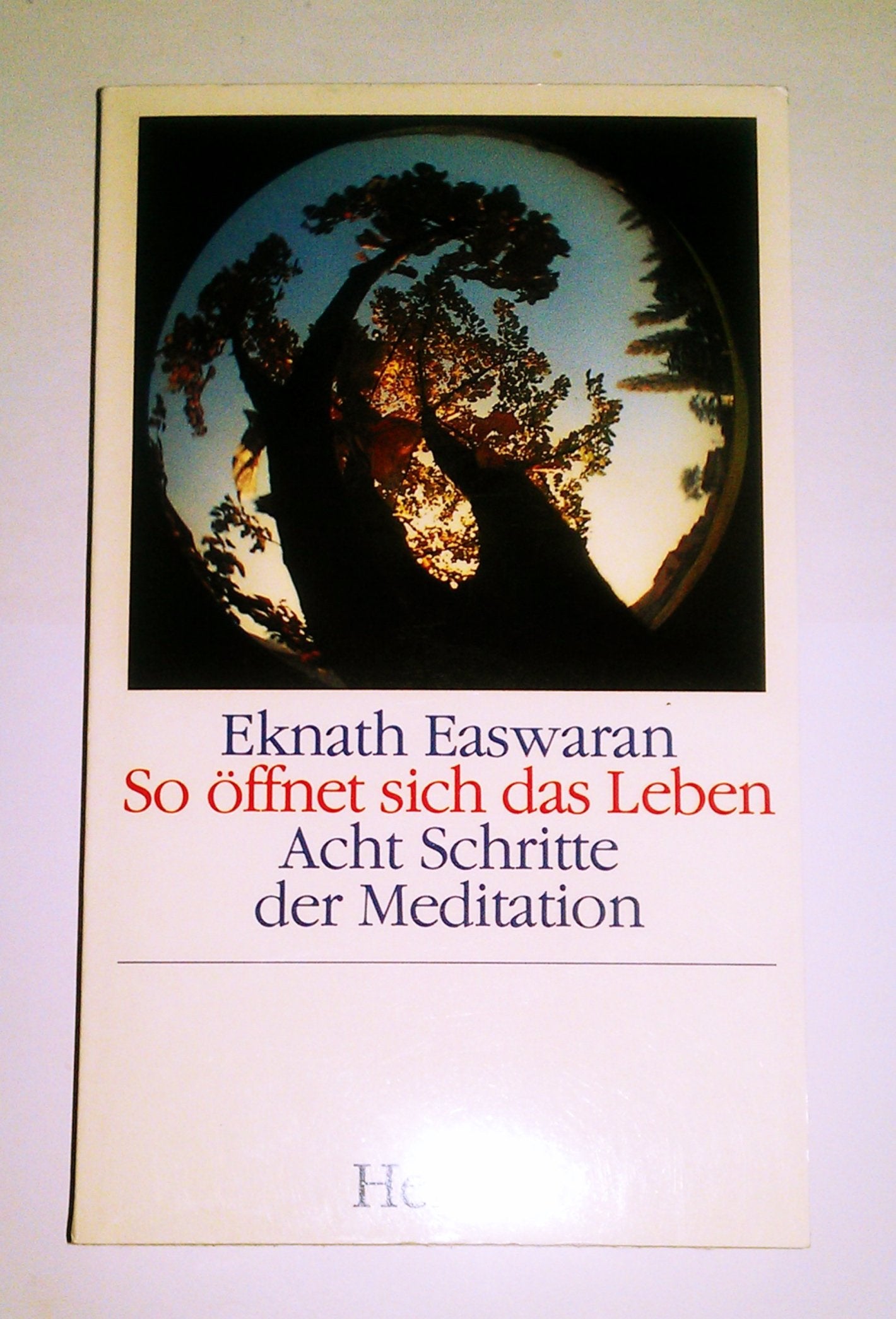 So öffnet sich das Leben. Acht Schritte der Meditation Lifestyle