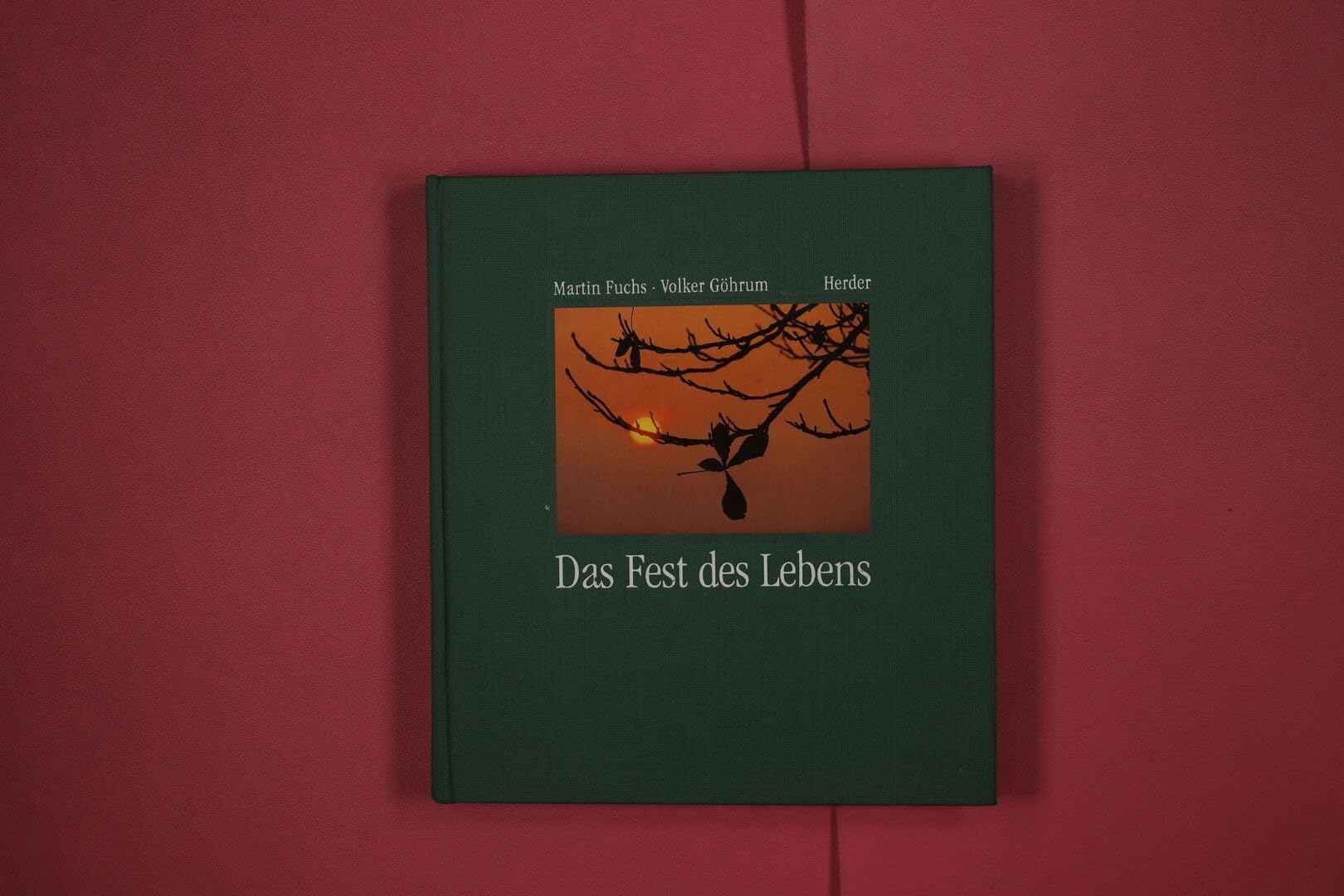 Product Image: Das Fest des Lebens