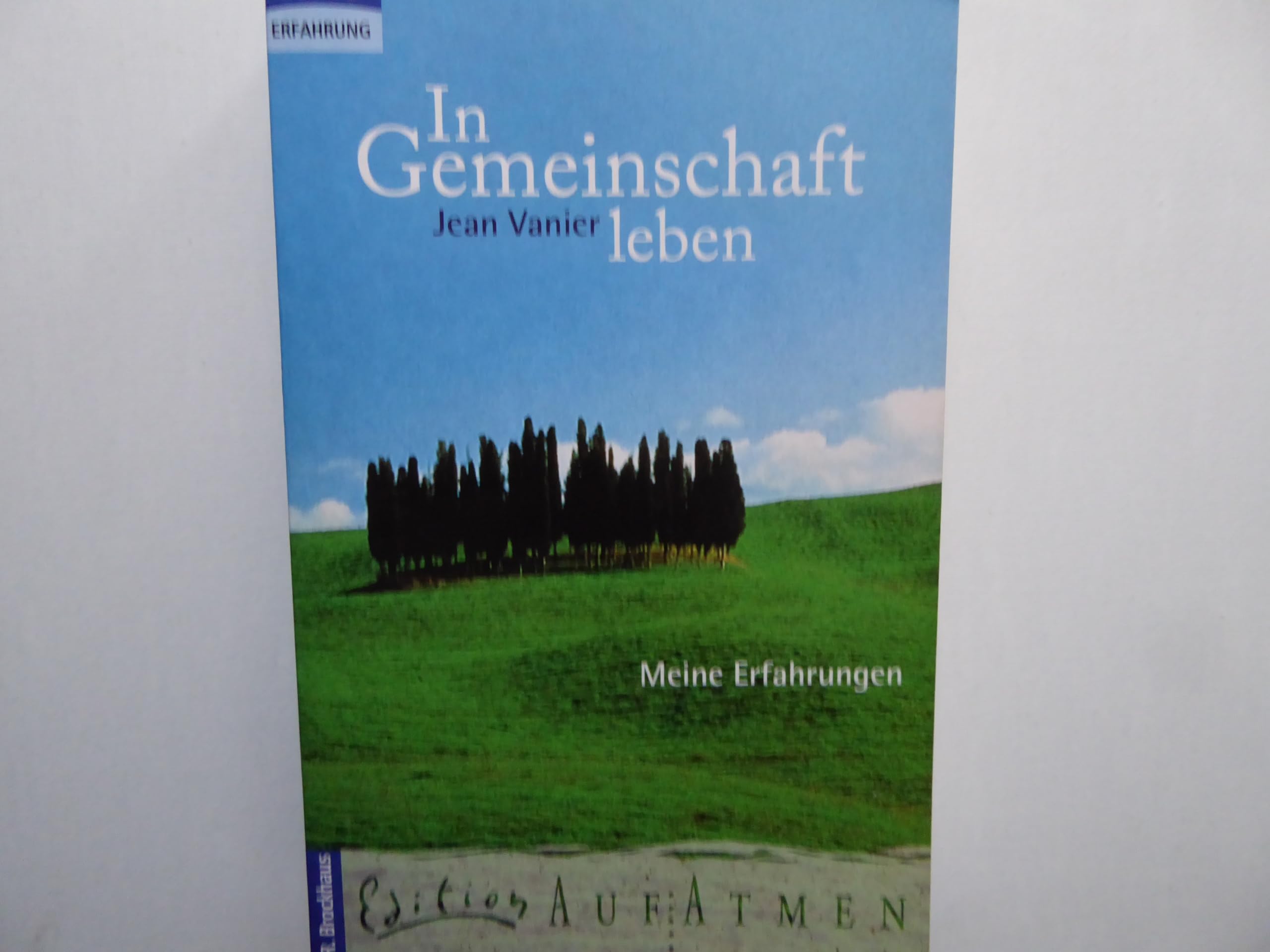 In Gemeinschaft leben Politics & History books
