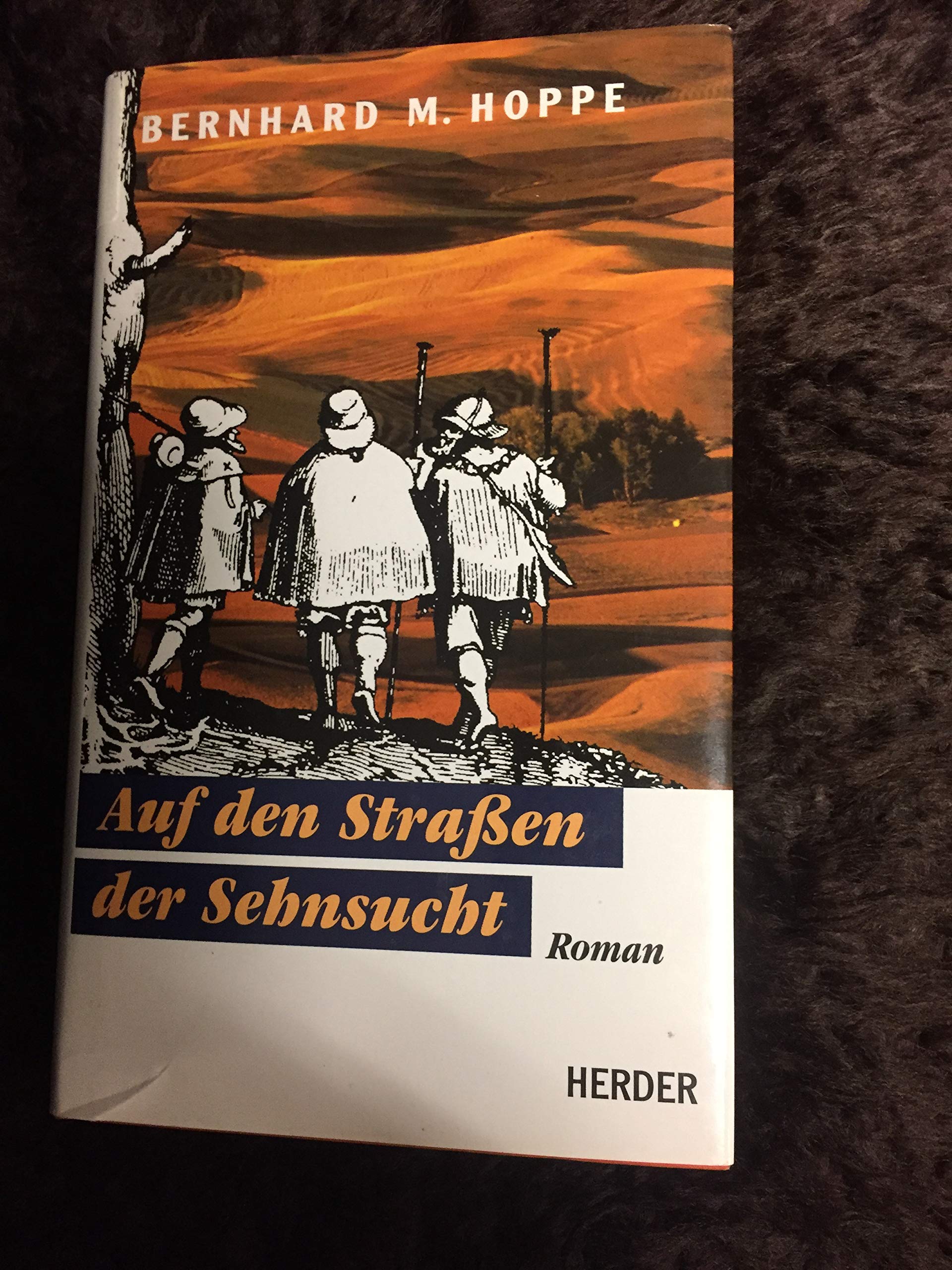 Auf den Straßen der Sehnsucht Books