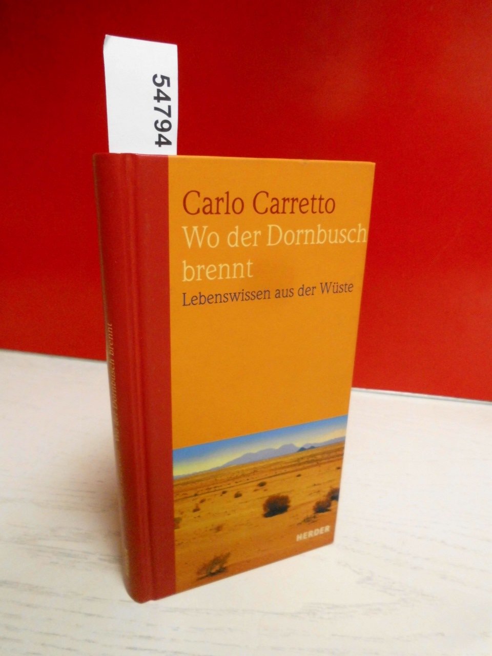 Wo der Dornbusch brennt. Lebenswissen aus der Wüste Books