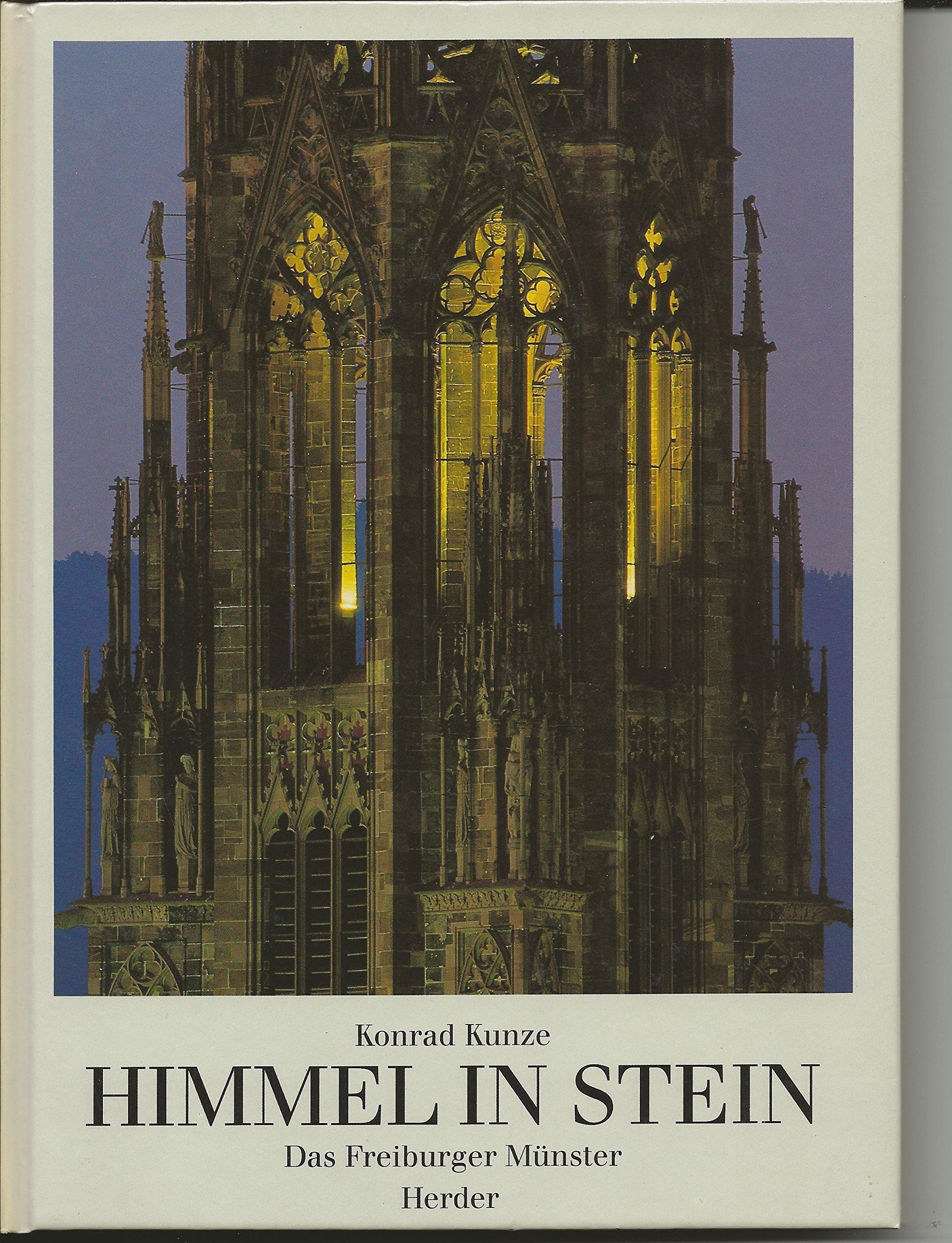 Himmel in Stein: Das Freiburger Münster. Vom Sinn mittelalterlicher Kirchenbauten Politics & History