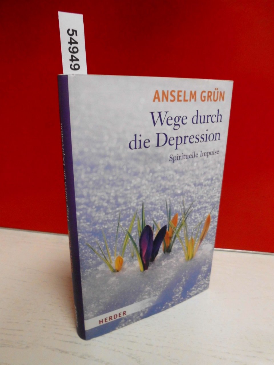 Wege durch die Depression: Spirituelle Impulse Health, Nutrition & Fitness