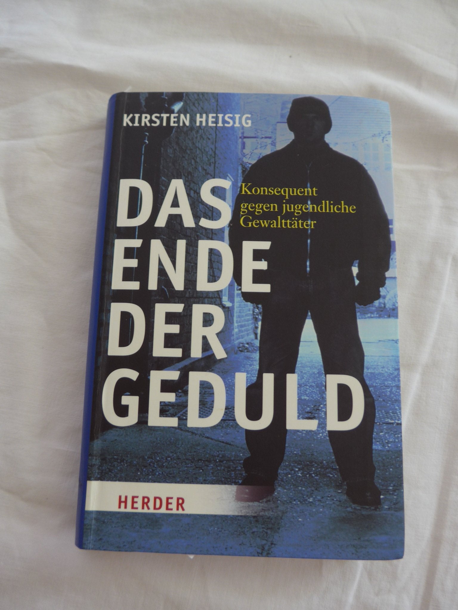 Das Ende der Geduld: Konsequent gegen jugendliche Gewalttäter Books