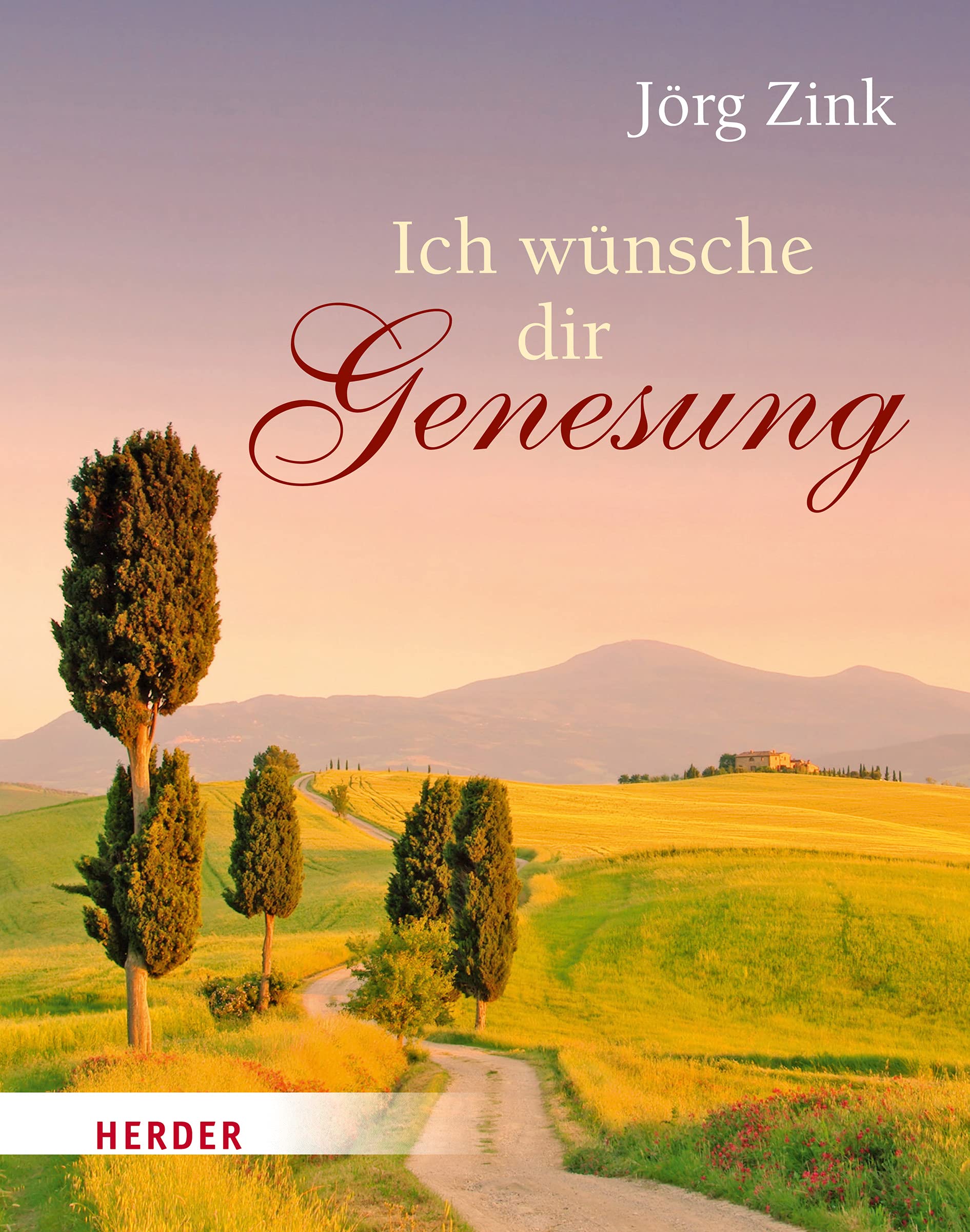Ich wünsche dir Genesung (Zink Kleine Geschenke) Religion & Esotericism