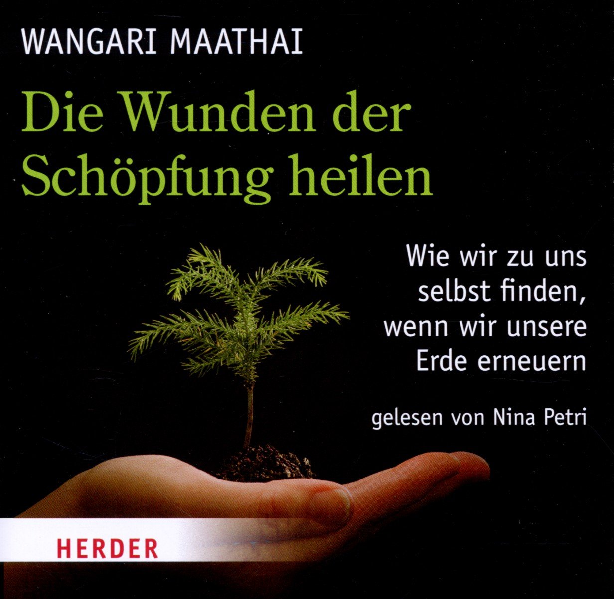 Die Wunden der Schöpfung heilen: Wie wir zu uns selbst finden, wenn wir unsere Erde erneuern: Wie wir zu uns selbst finden, wenn wir die Erde erneuern Books