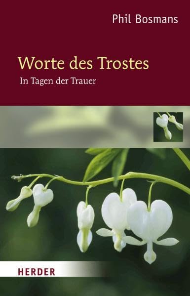 Worte des Trostes: In Tagen der Trauer (Neue Geschenkhefte) Death & Mourning