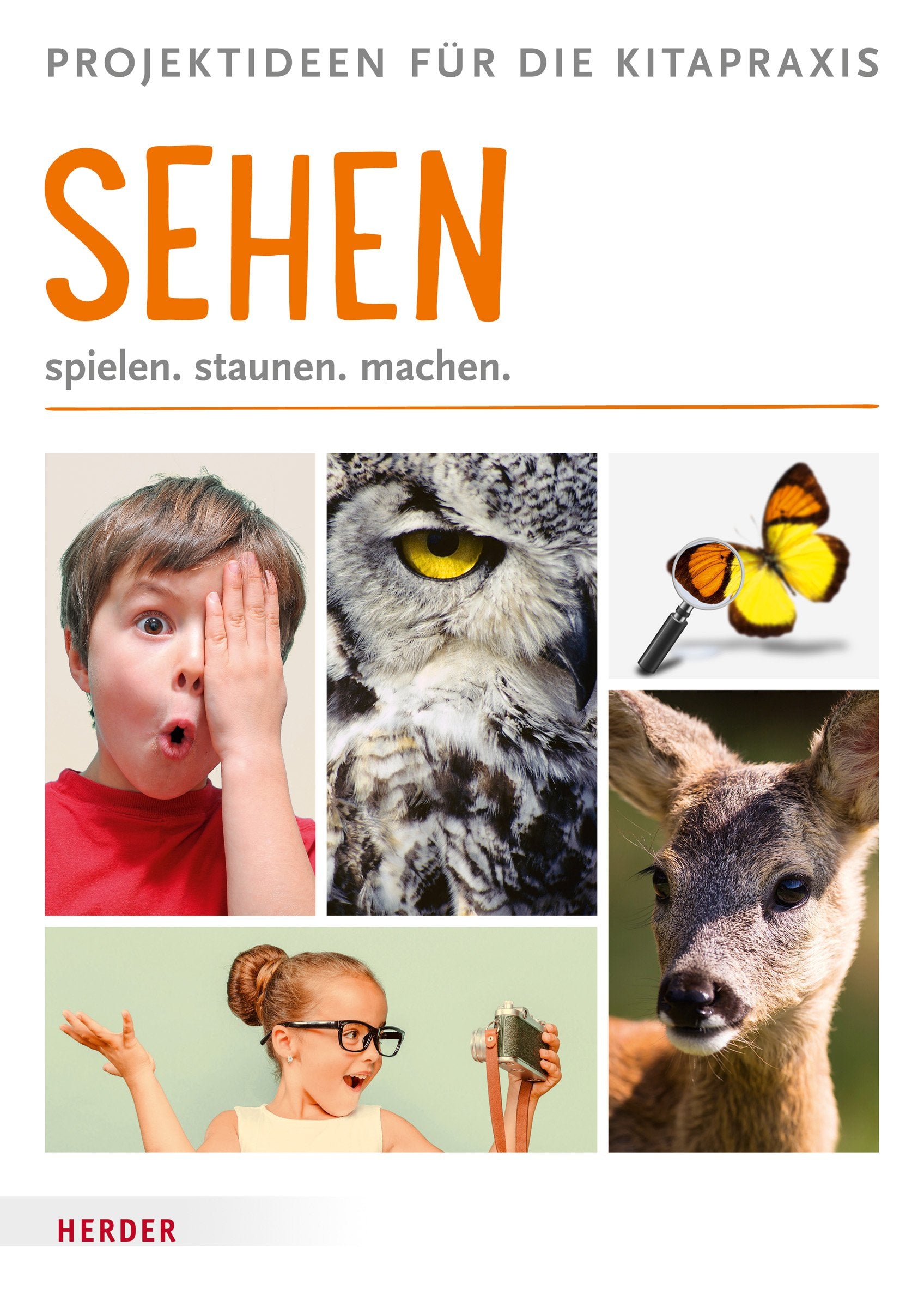 sehen: spielen, staunen, machen. Projektideen für die Kitapraxis Books