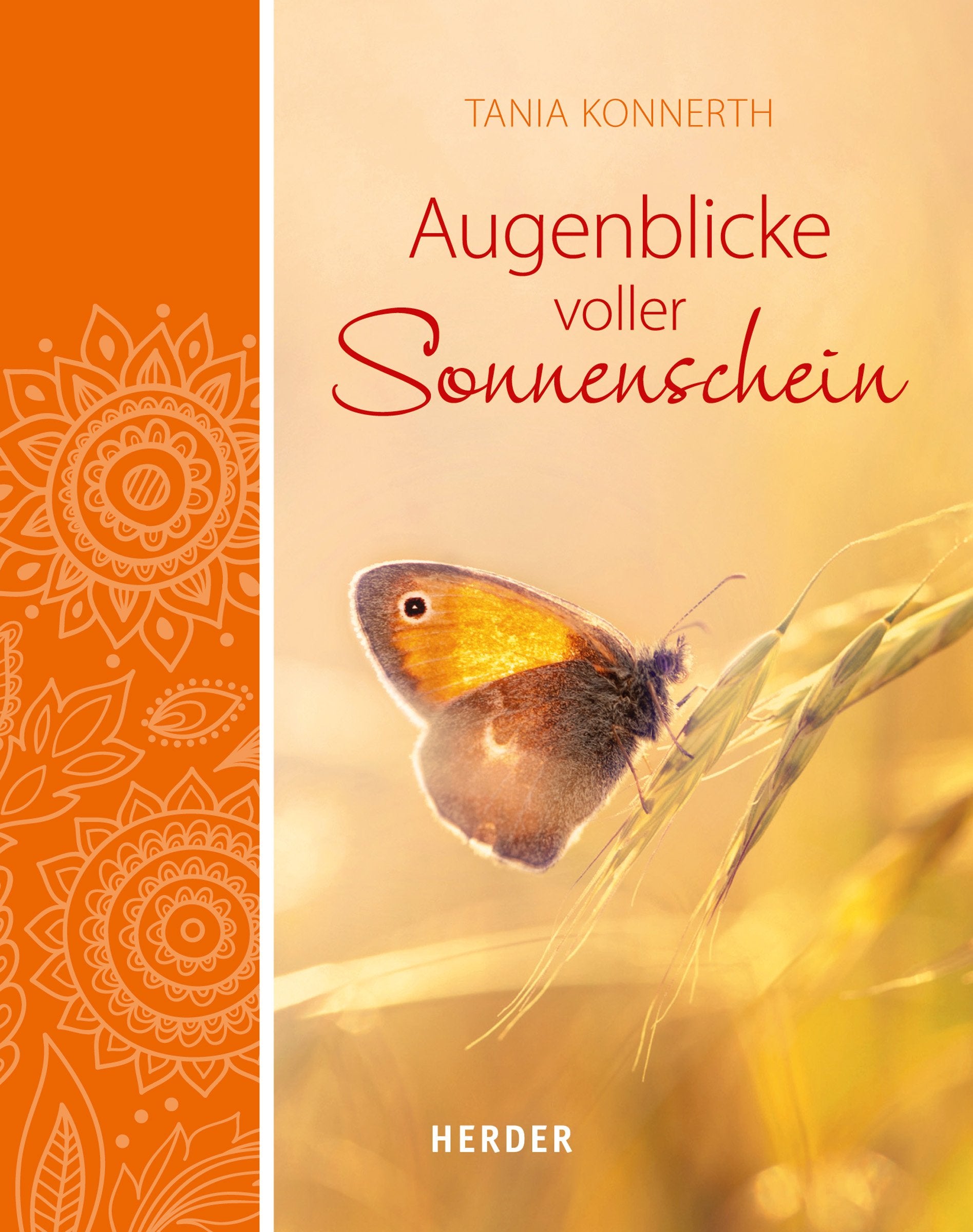 Augenblicke voller Sonnenschein Lifestyle