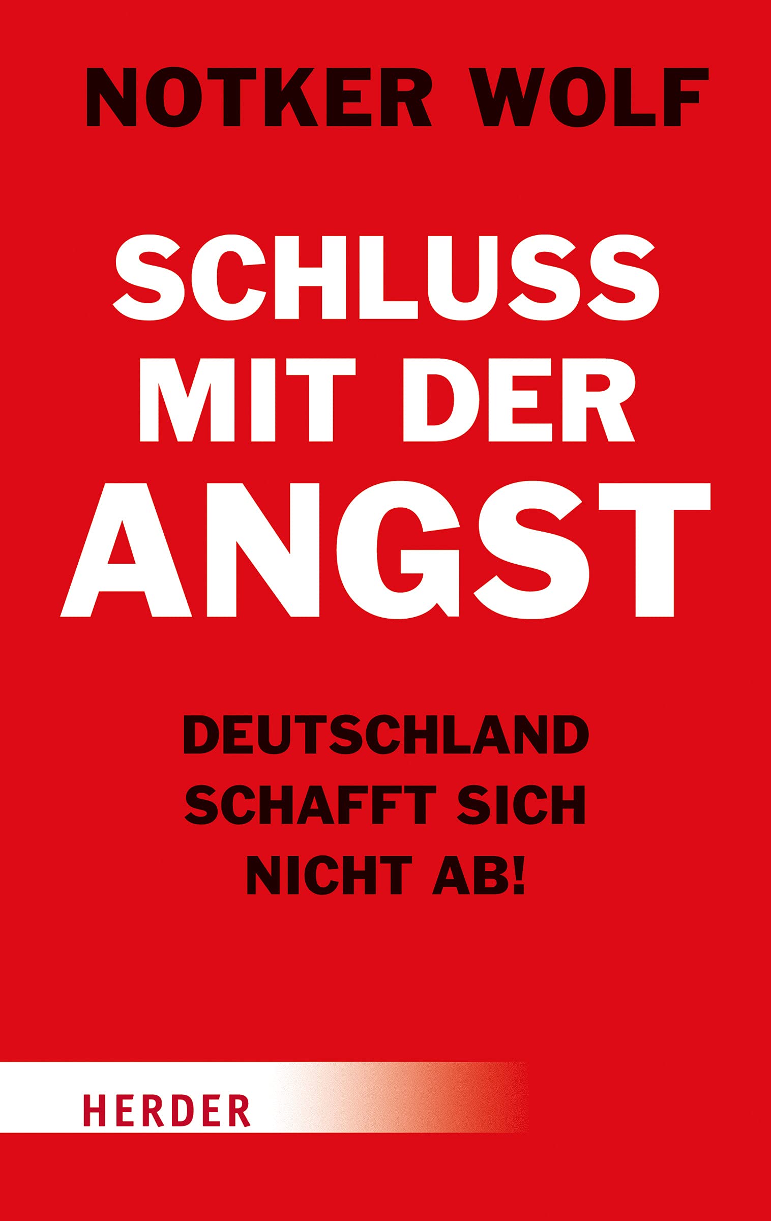 Schluss mit der Angst - Deutschland schafft sich nicht ab! Books
