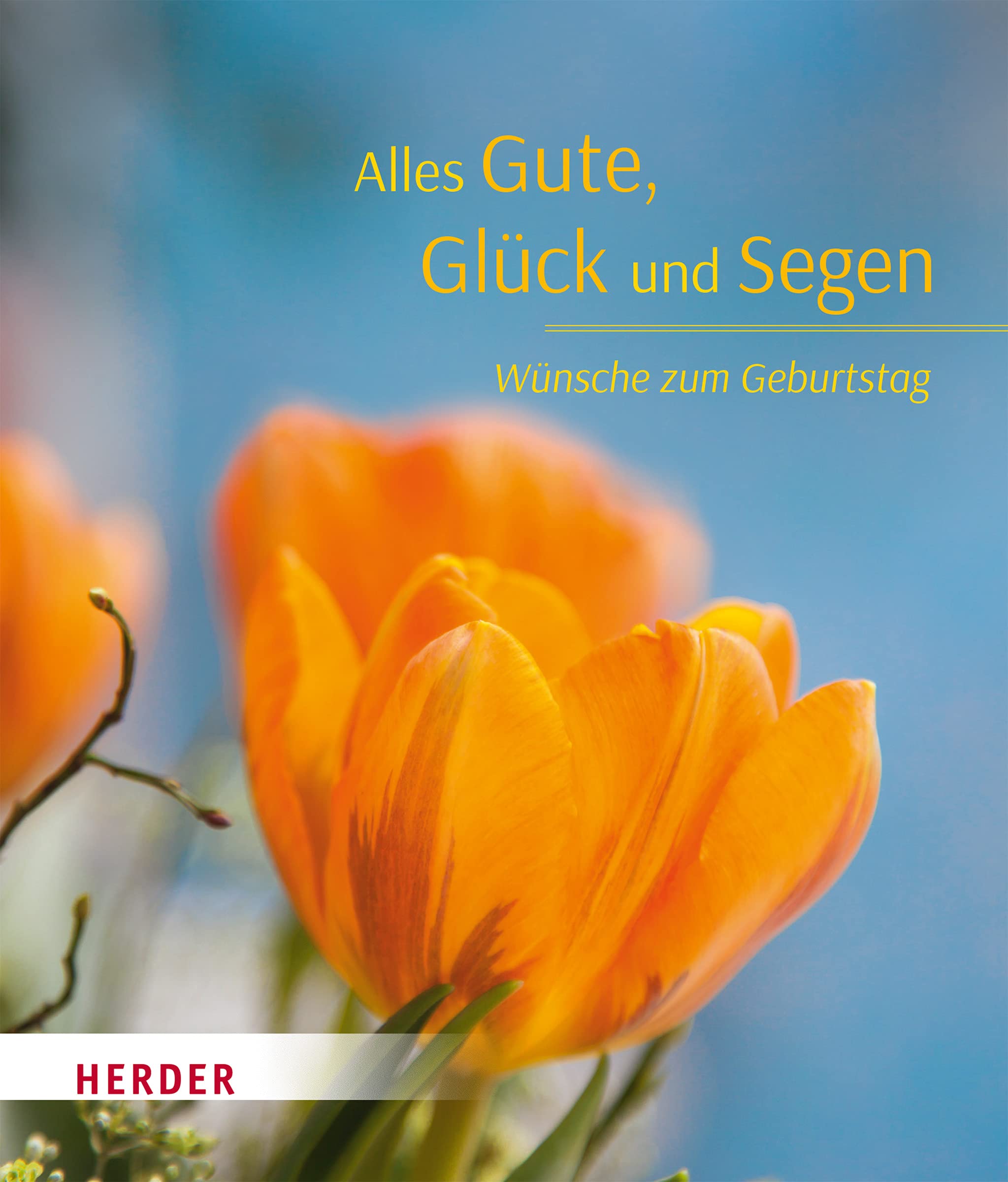Alles Gute, Glück und Segen: Wünsche zum Geburtstag Living & Furnishing