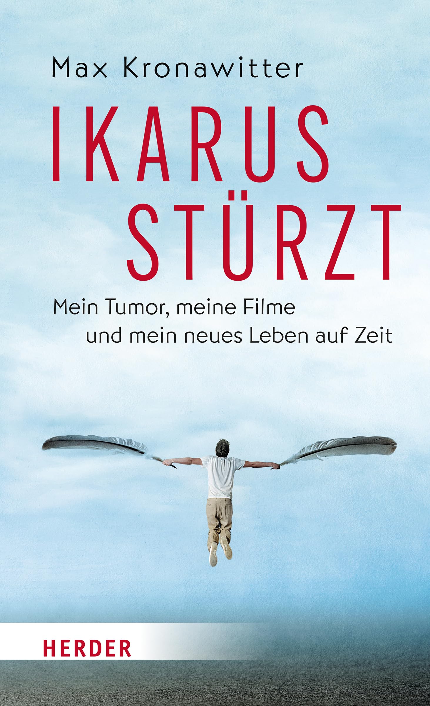 Ikarus stürzt Art & Literature Books